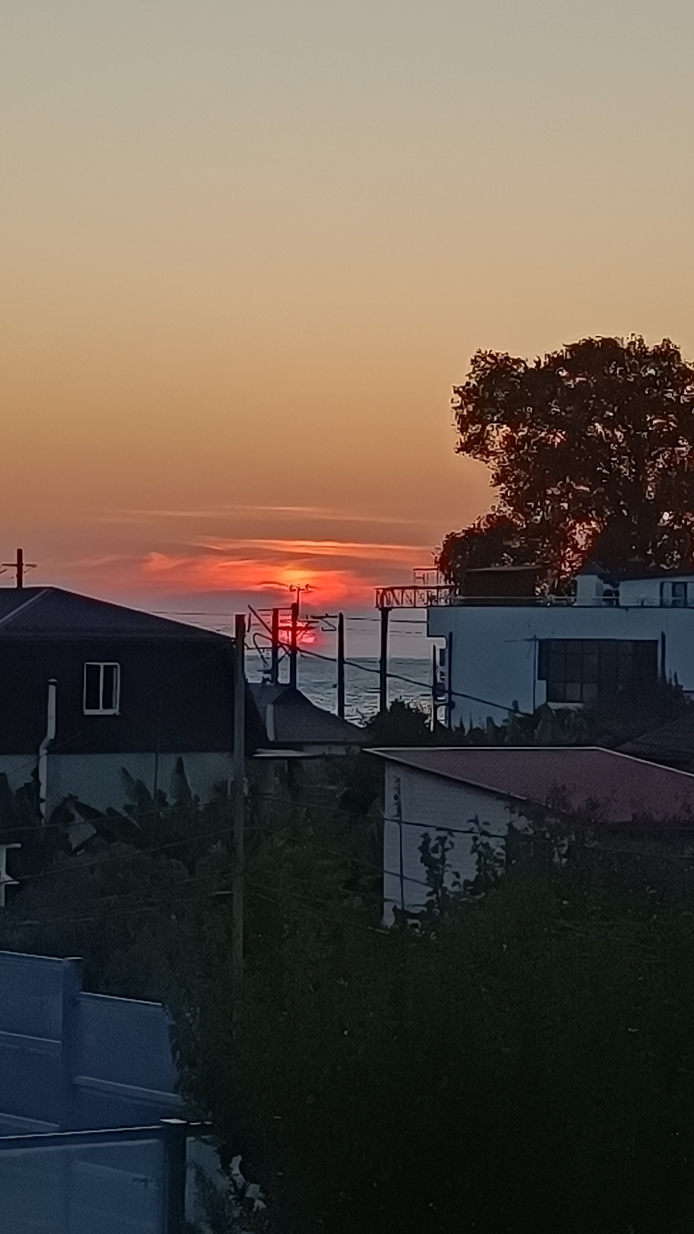 Фото Свирский