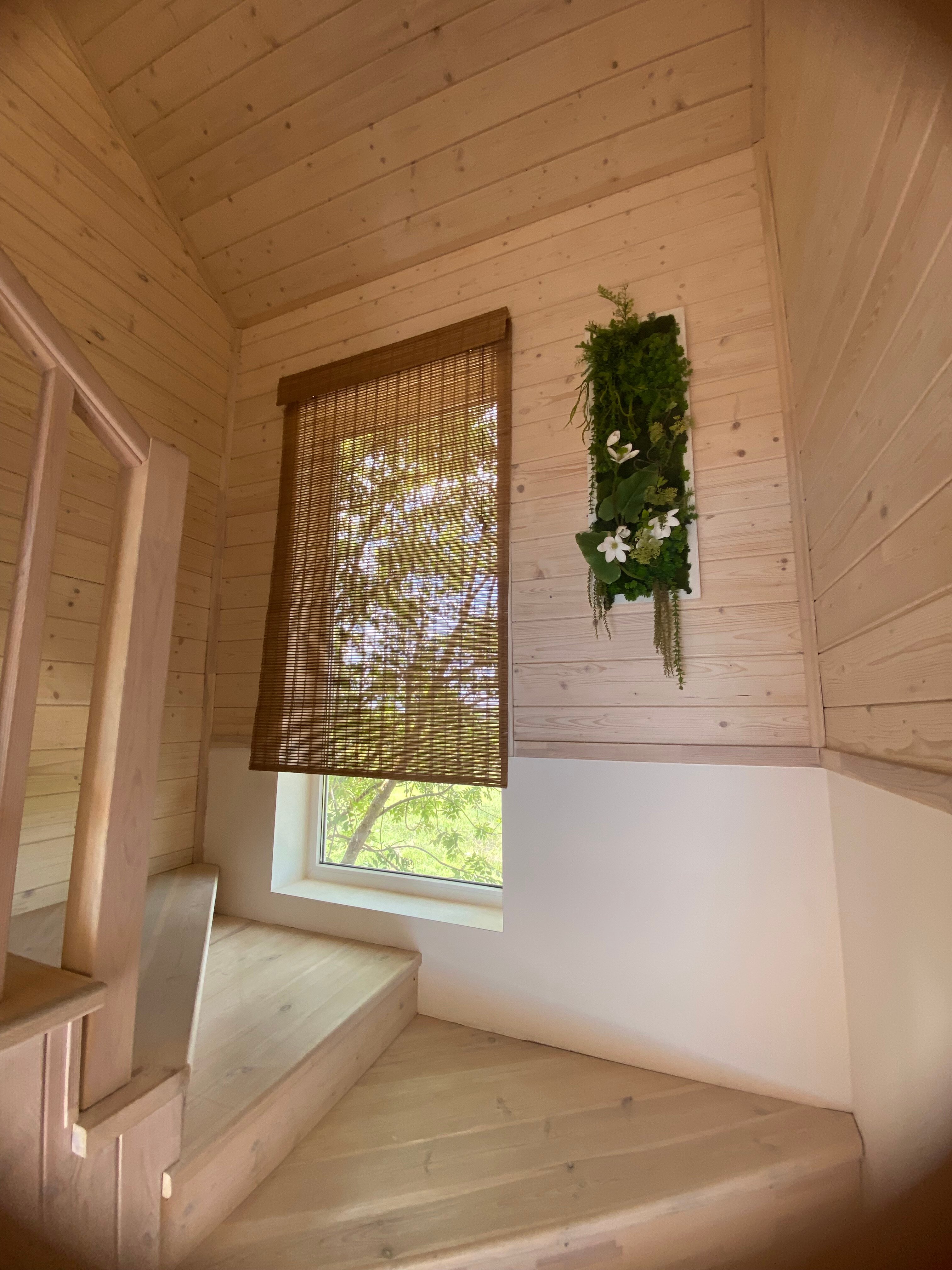 Фото ДанДача