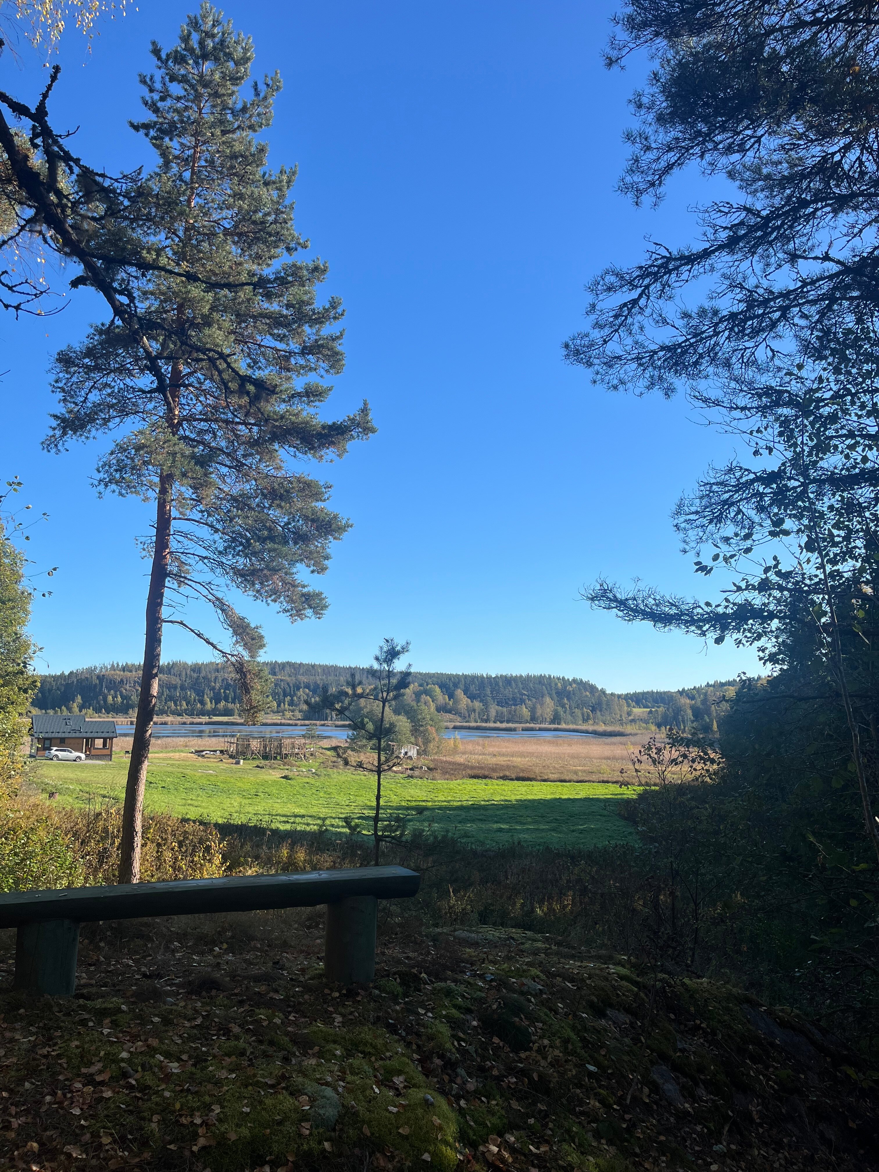 Фото Киркколампи