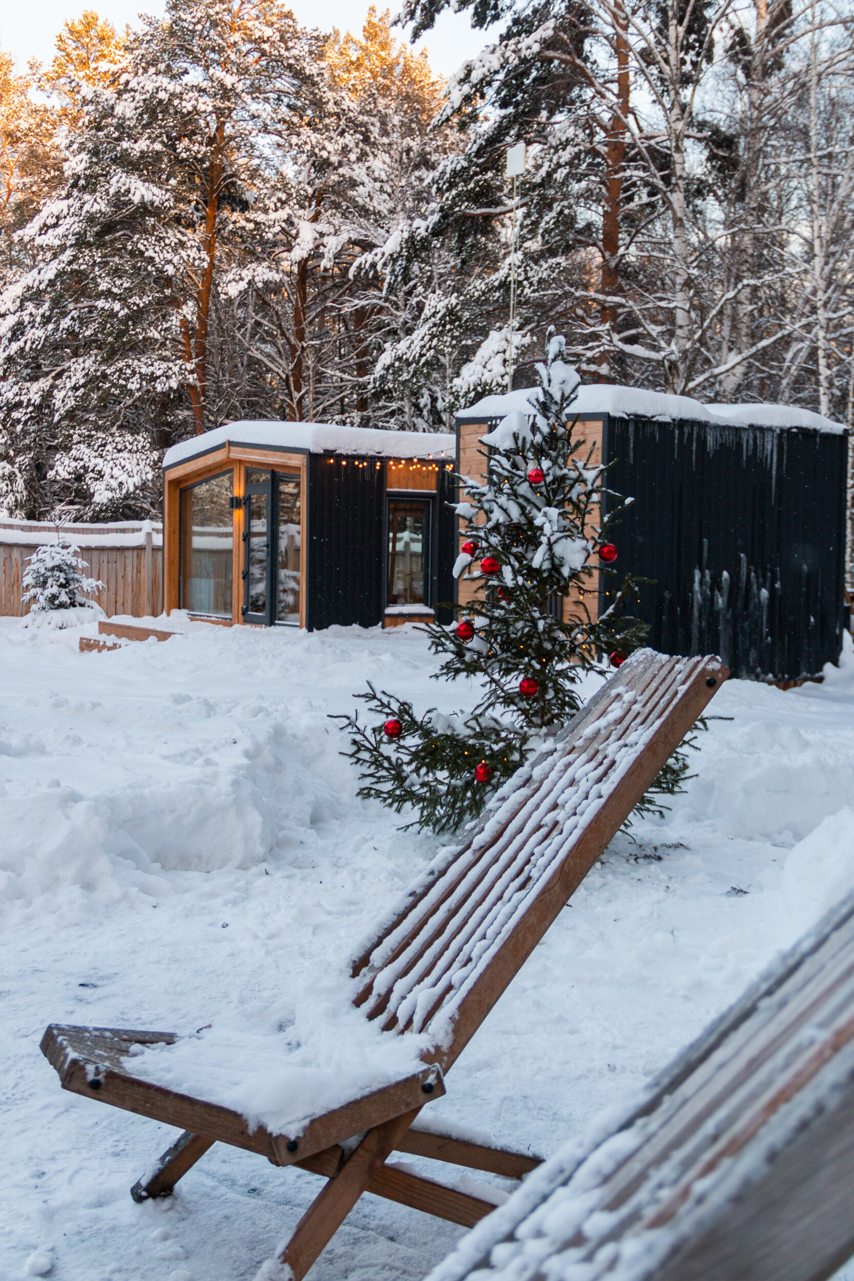 Фото На опушке