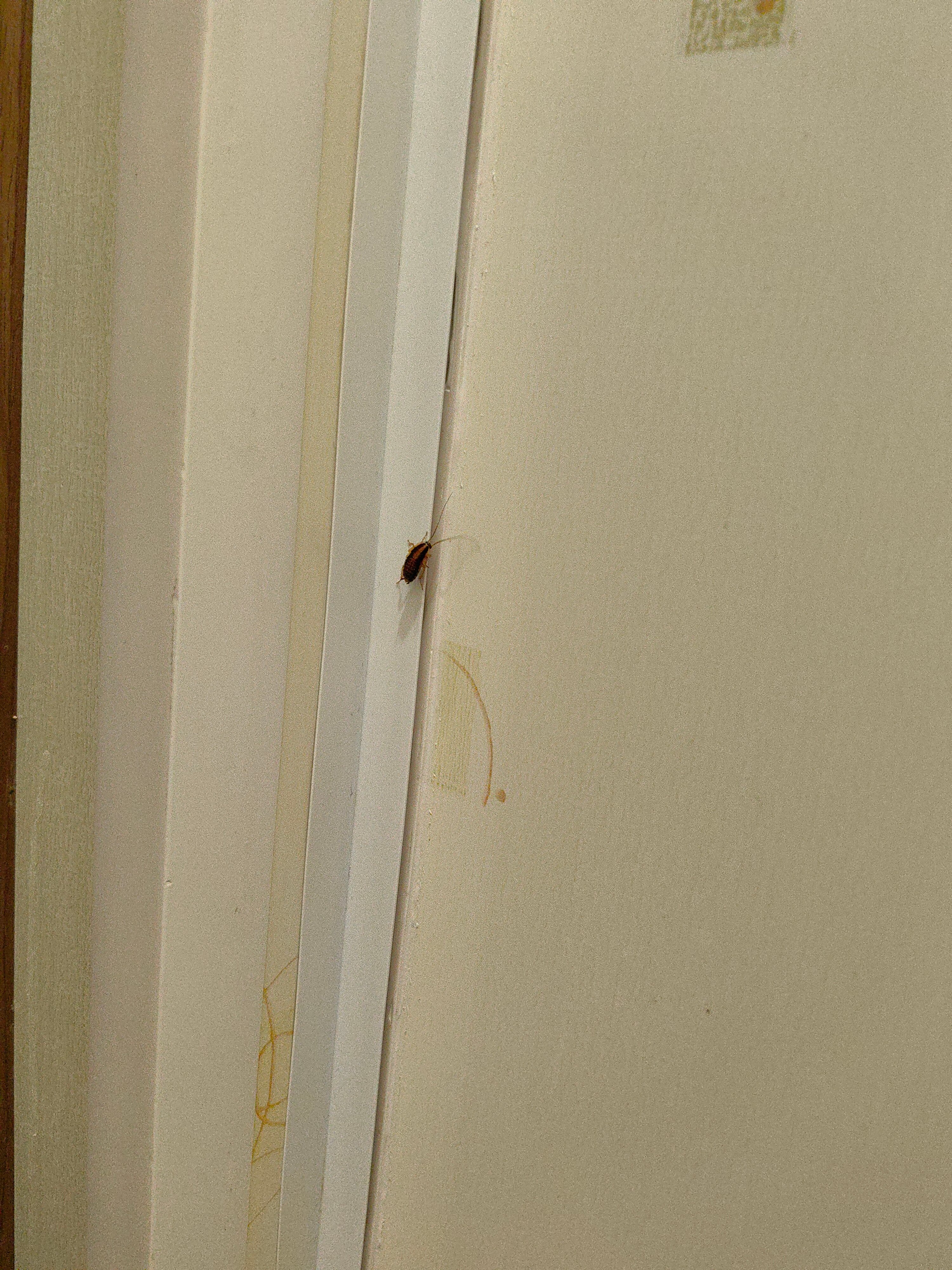 Фото Север Плюс