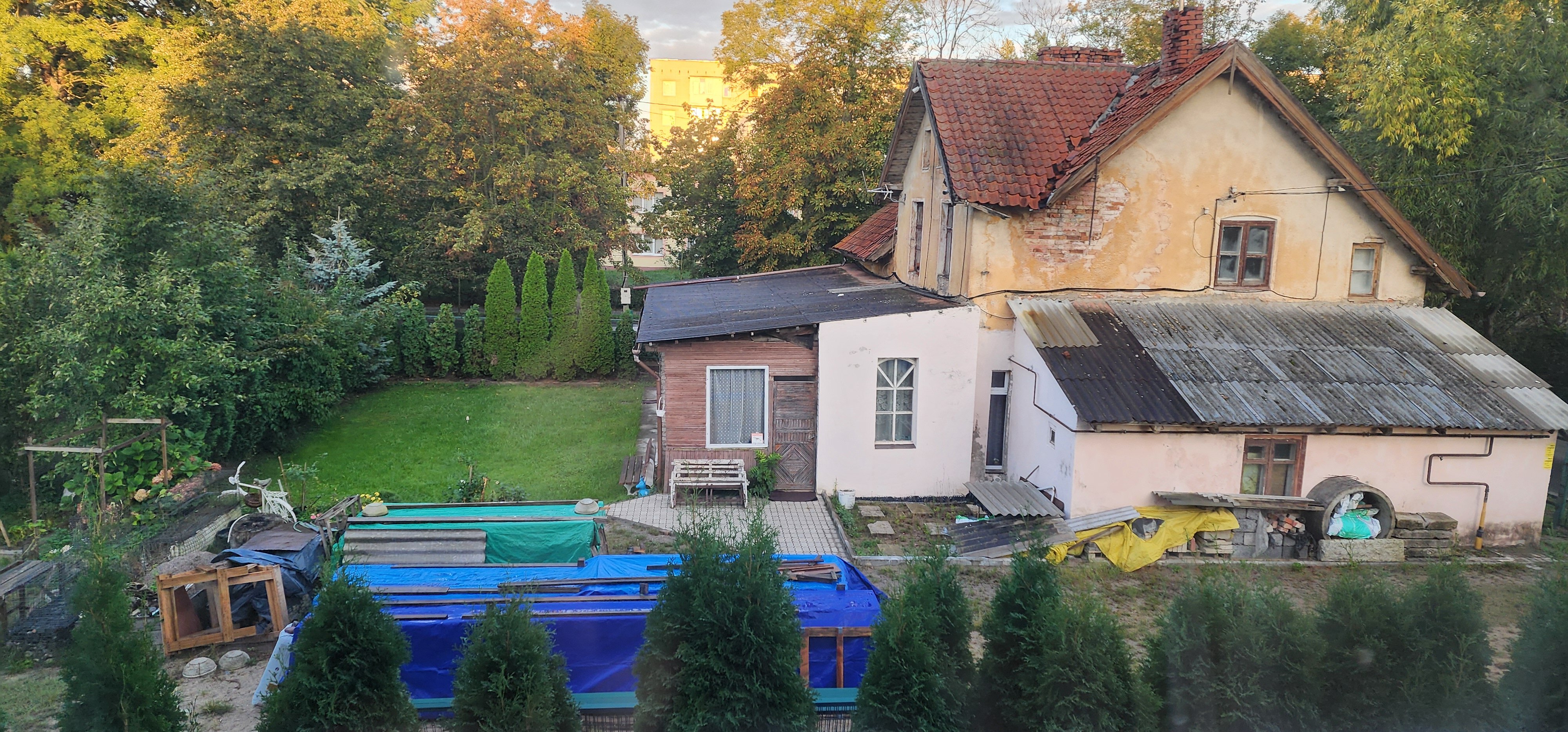 Фото Элиза Бонапарт