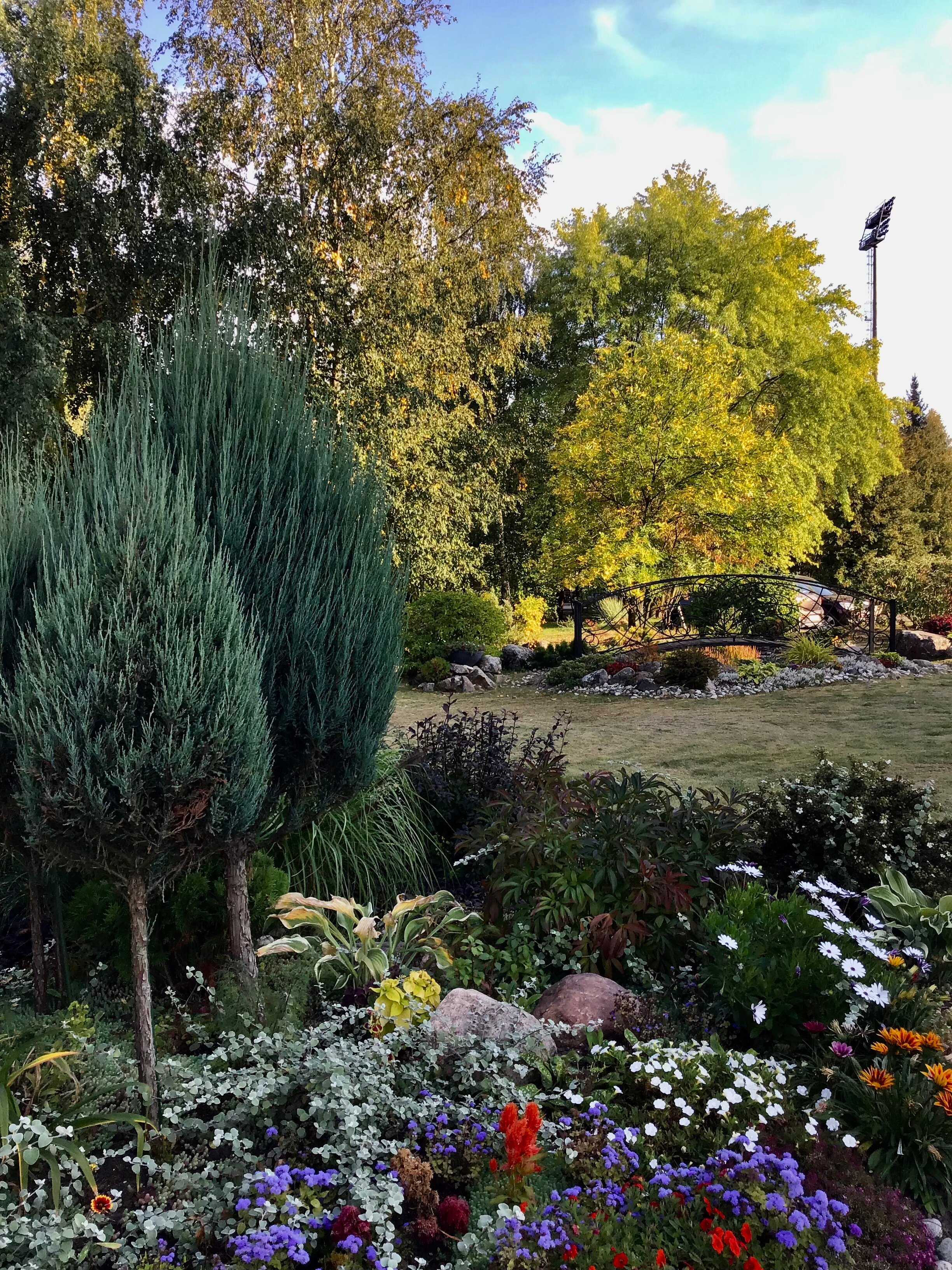 Фото Береста Парк