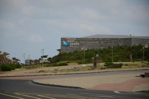 Гостиница Jeju Stay in Seongsan Hotel