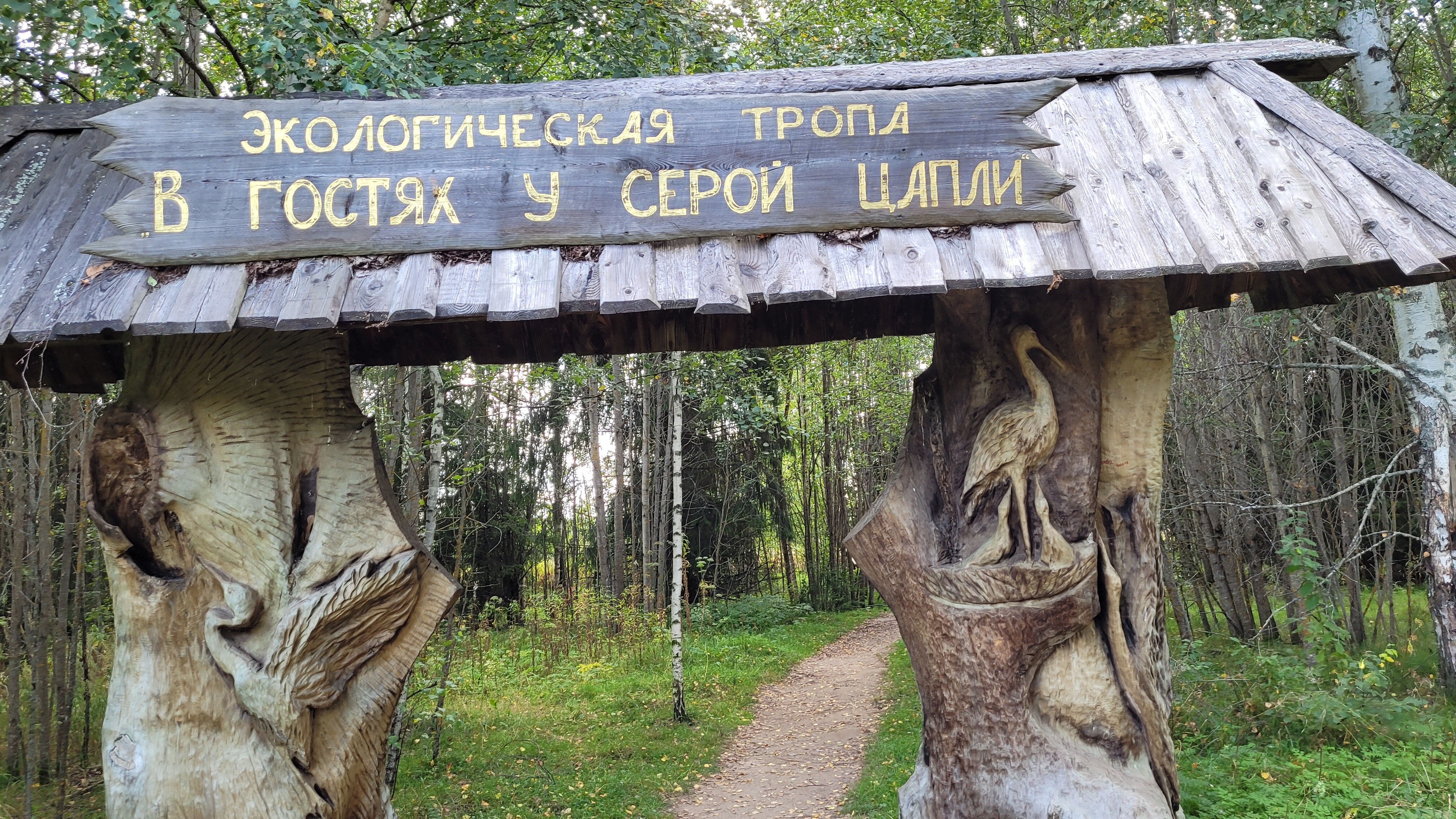 Фото Плещеево Хиллз