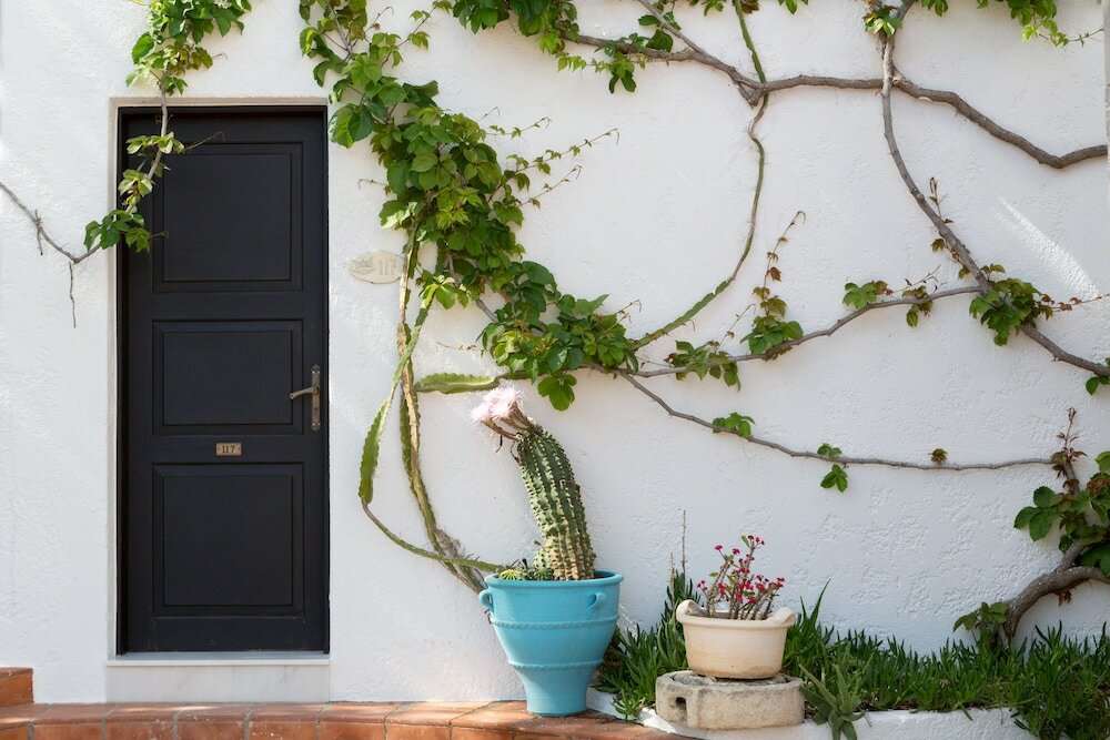 Фото Kalypso Hotel