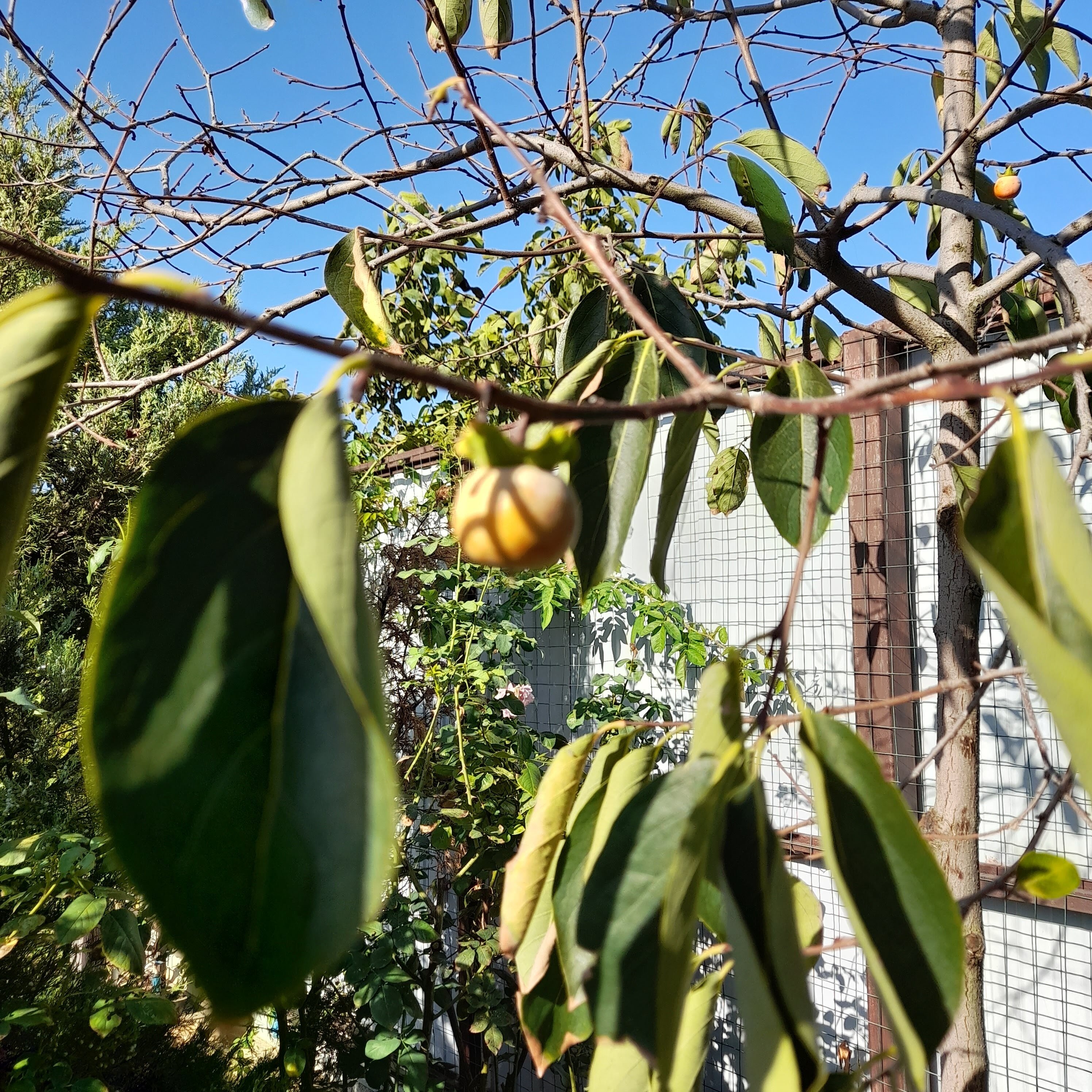 Фото Дом у моря Частный сектор