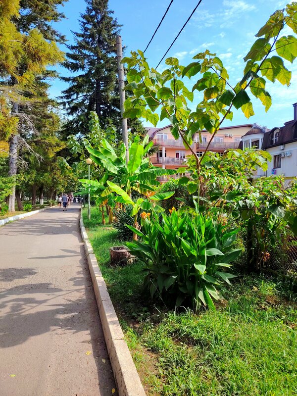 Южный дворик — фото 8