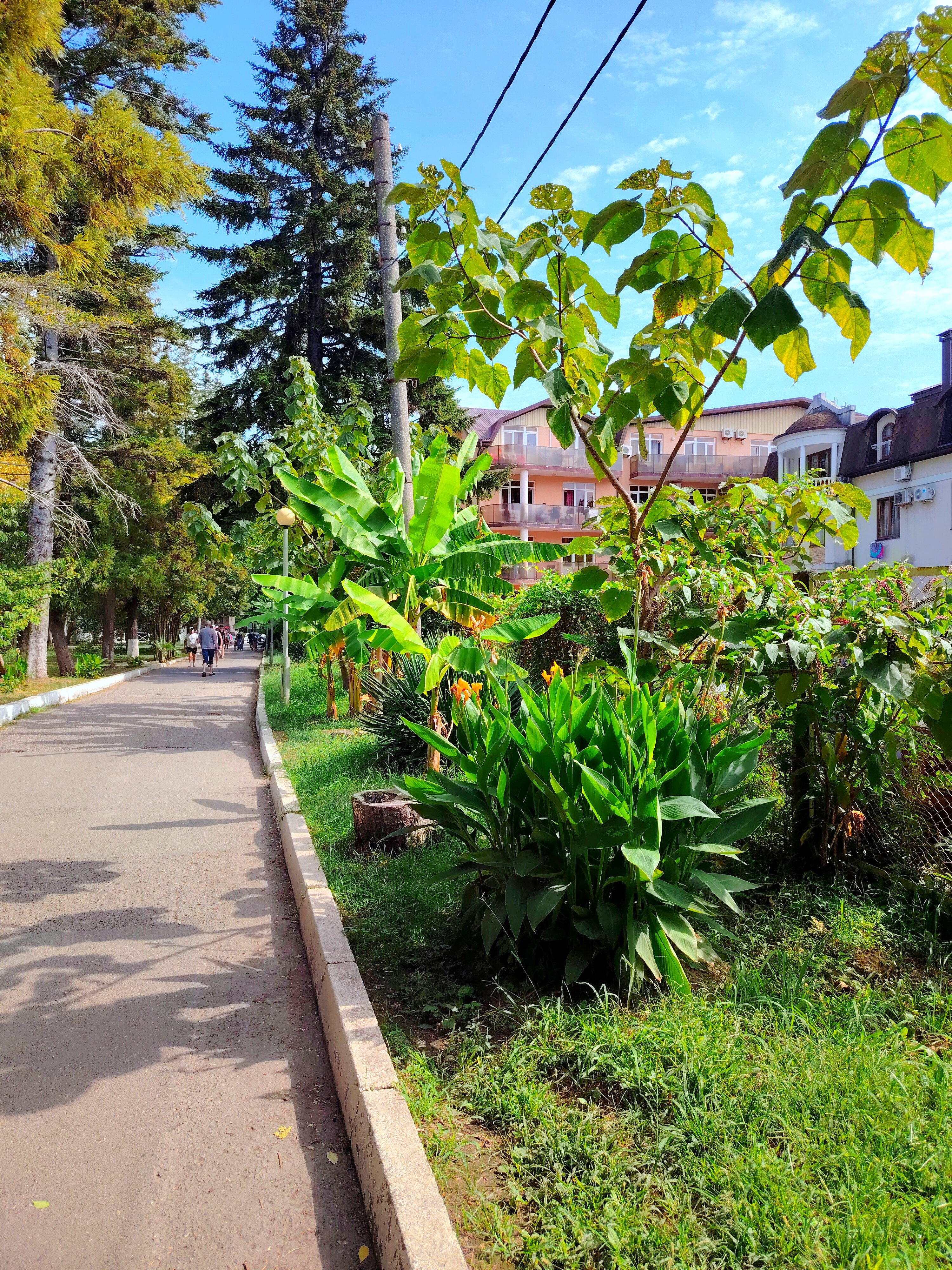 Фото Южный дворик