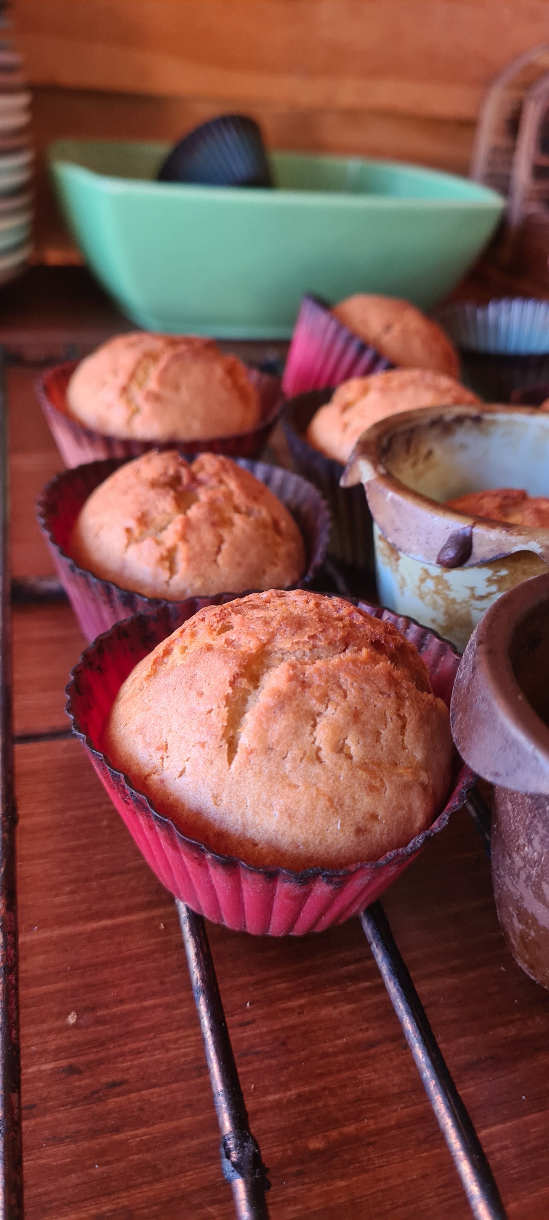 Фото Глэмпинг Стрекоза