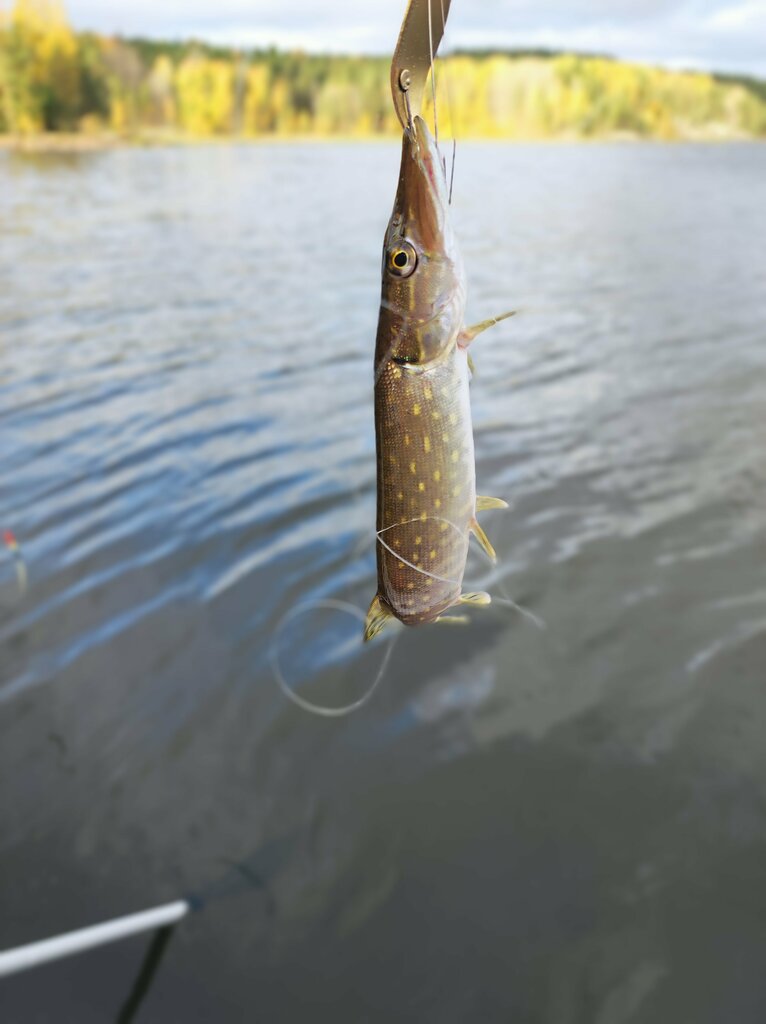Товары для рыбалки Рыбалка, Приозерск, фото