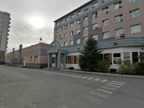 Yalagan mushuk video