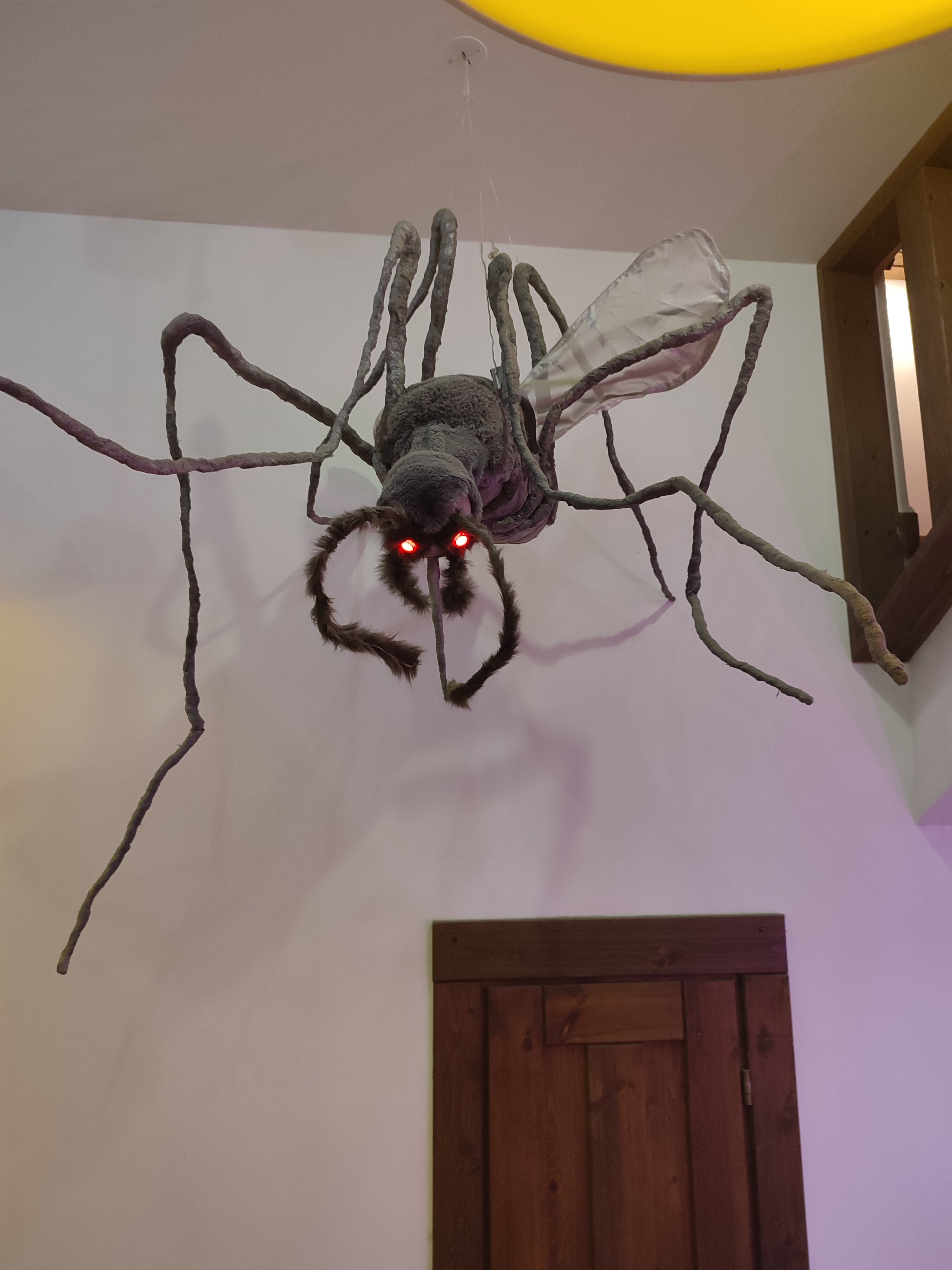 Фото Отель Карелия