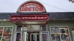 Галерея цветов (Pobeda Revolyutsii Avenue, 103) ، متجر زهور