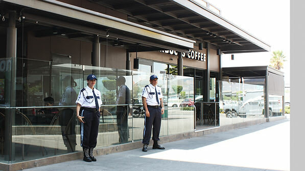 Security company Anubis Seguridad Y Resguardo, Lima, photo