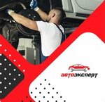Trade and service center Autoexpert (Ozyornaya Street, 45А), car service, auto repair