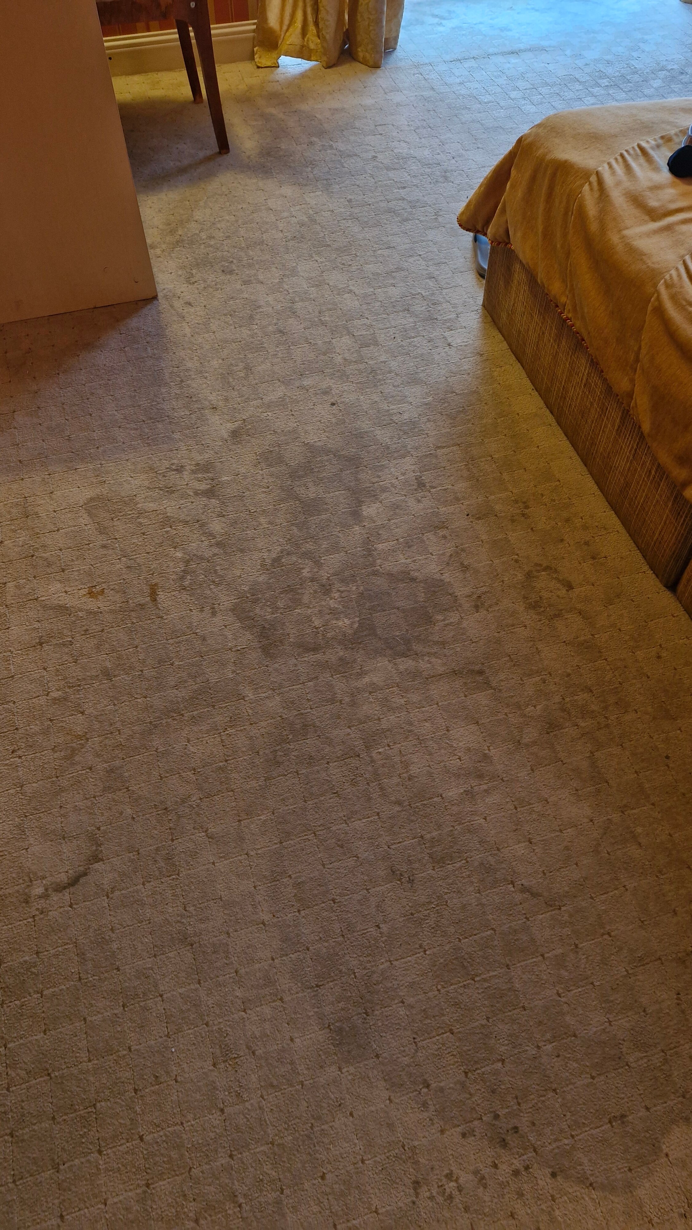 Фото Вилла Роза