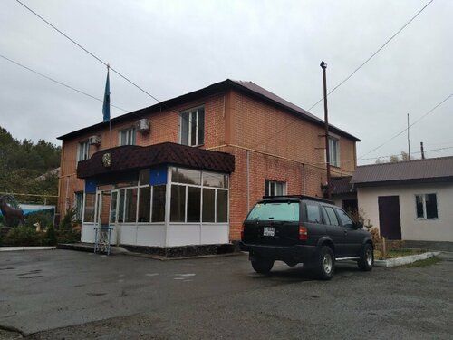 Орыс шашы бар еркектер