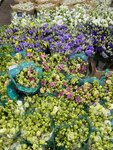 Srezka (Tsentrosoyuzny Lane, 21А), flower shop