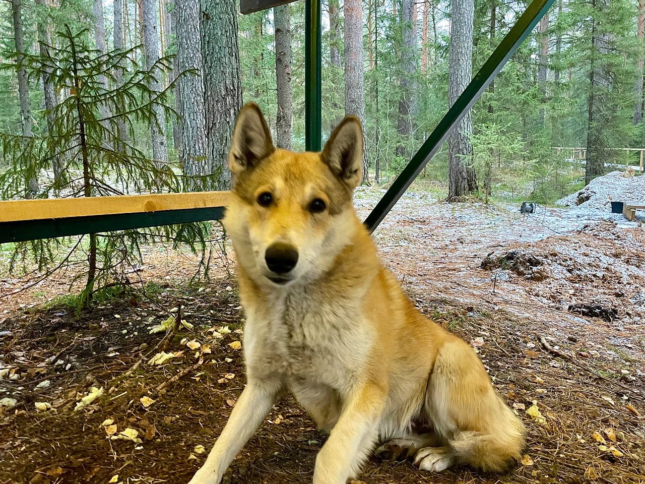 Фото Изумрудный город