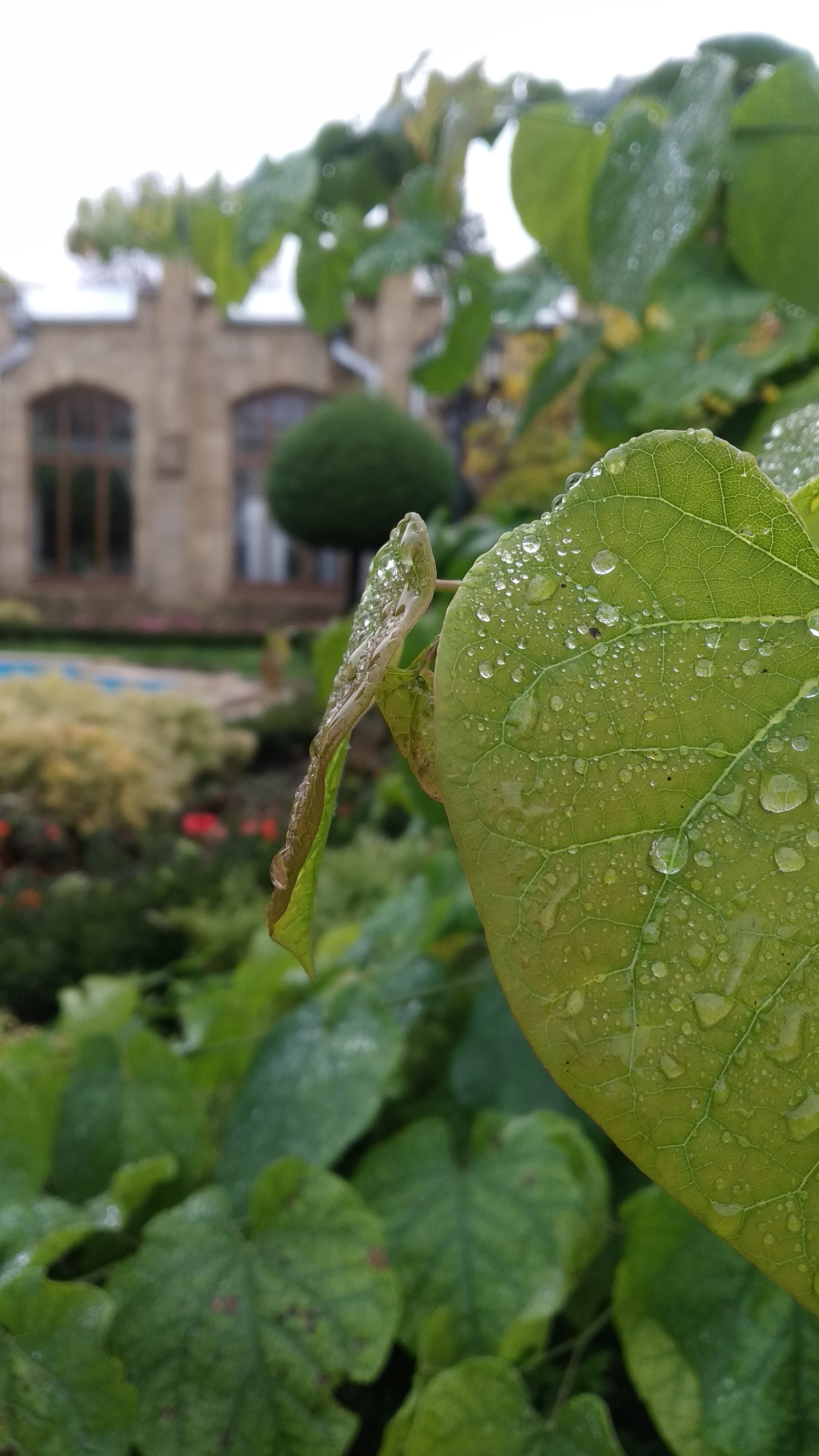 Фото Колизей на Ленина