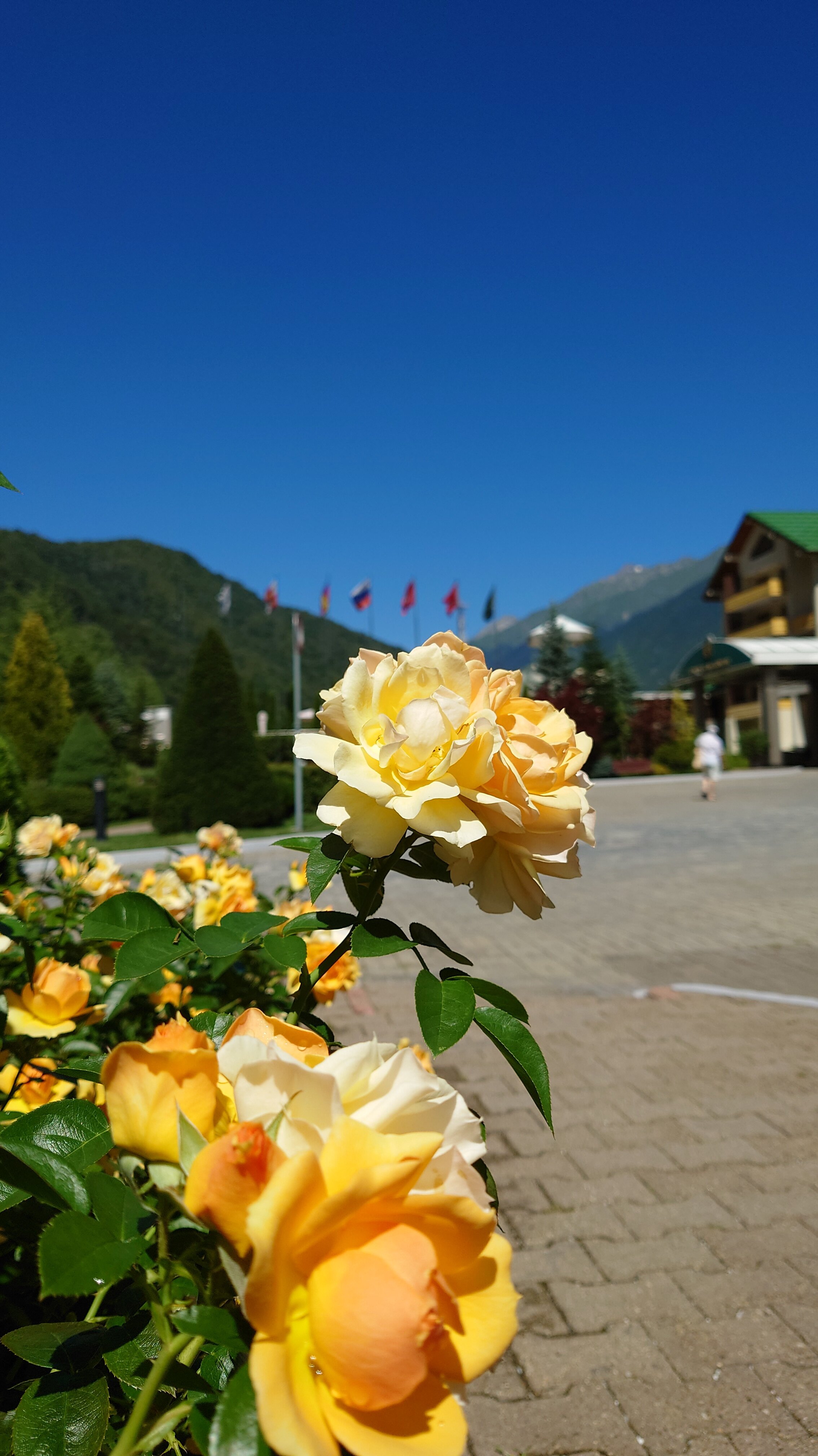 Фото Гранд Отель Поляна