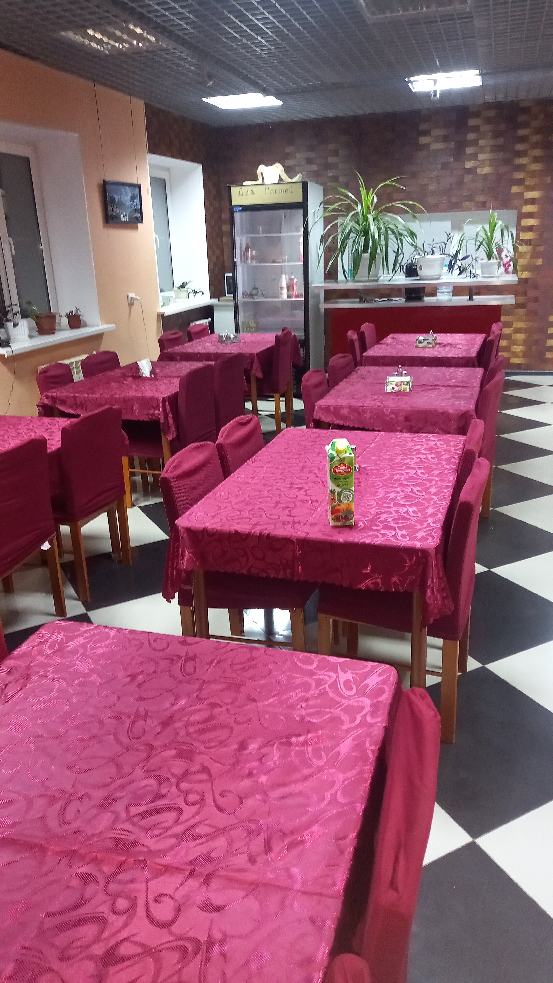 Фото Кузнечик