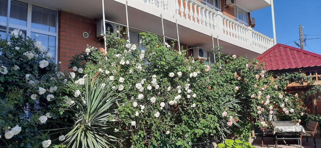 Фото Гостевой дом на Садовой 62