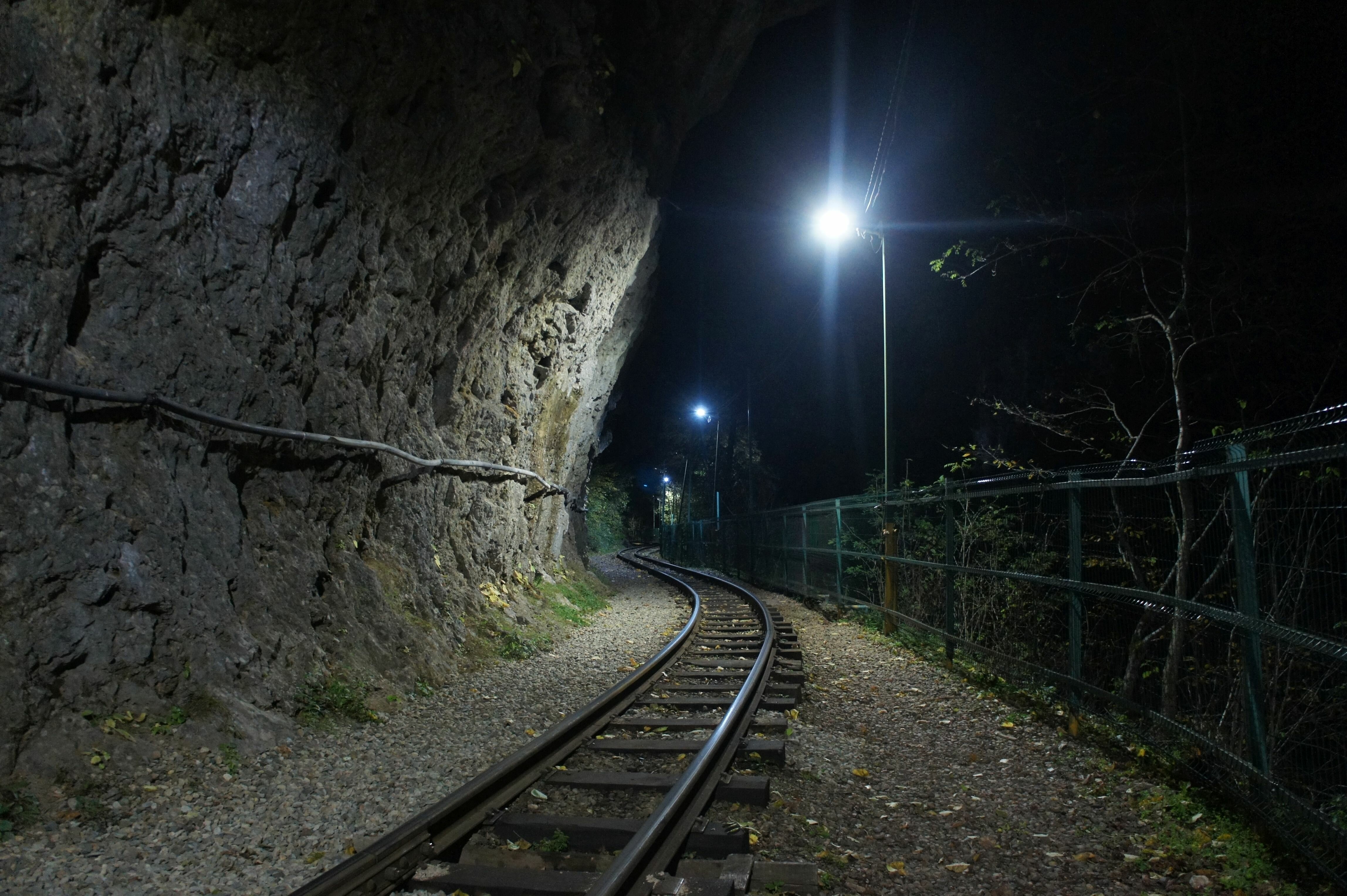 Фото Солярис