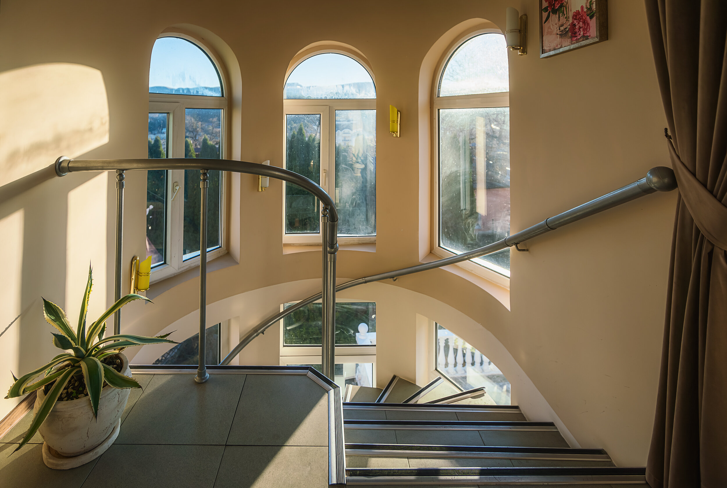 Фото Ласточка