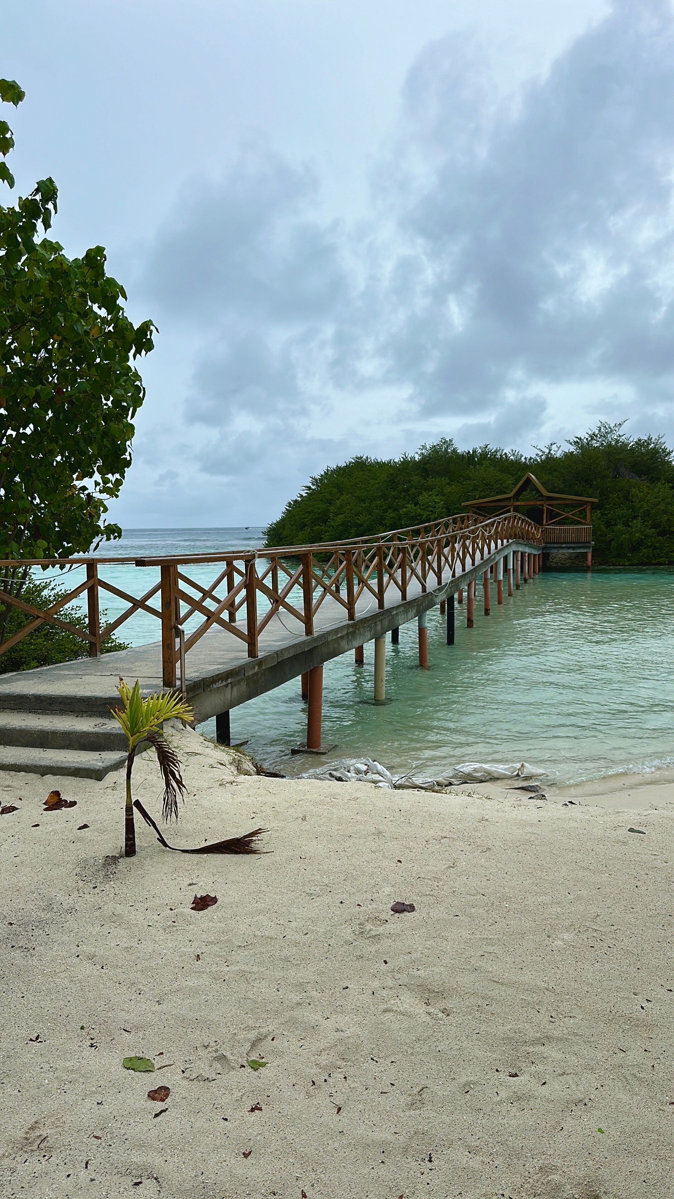 Фото Season Paradise