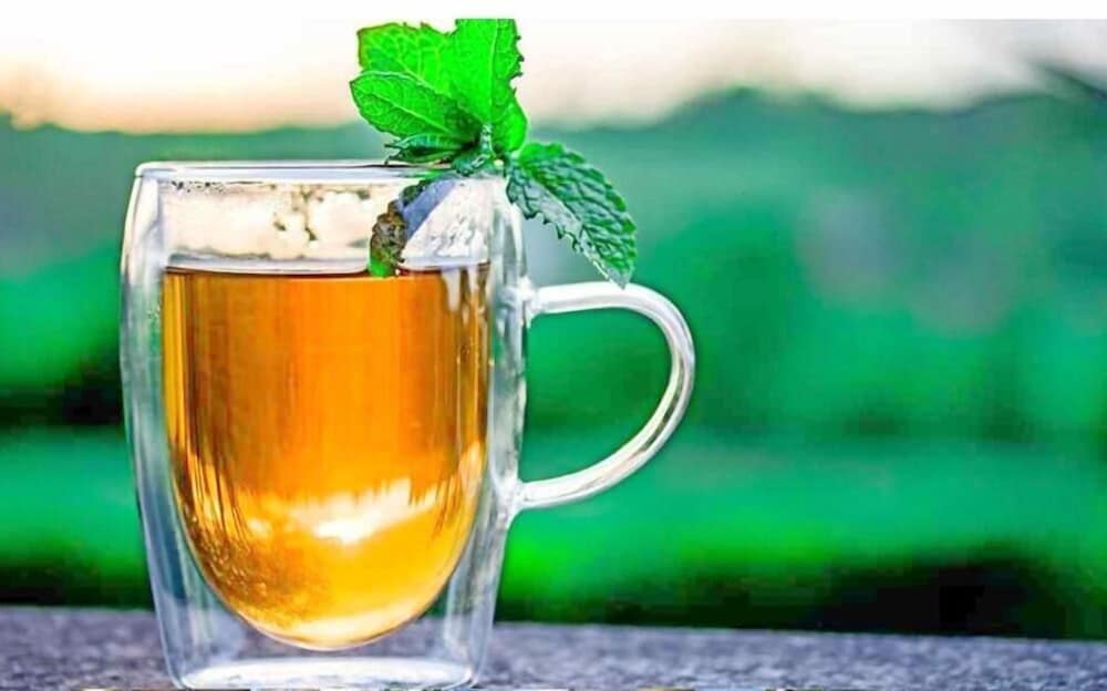 Фото Hotel C7 Munnar