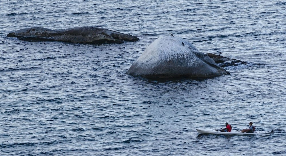 Hotel Whale View Manor, Capetown, photo