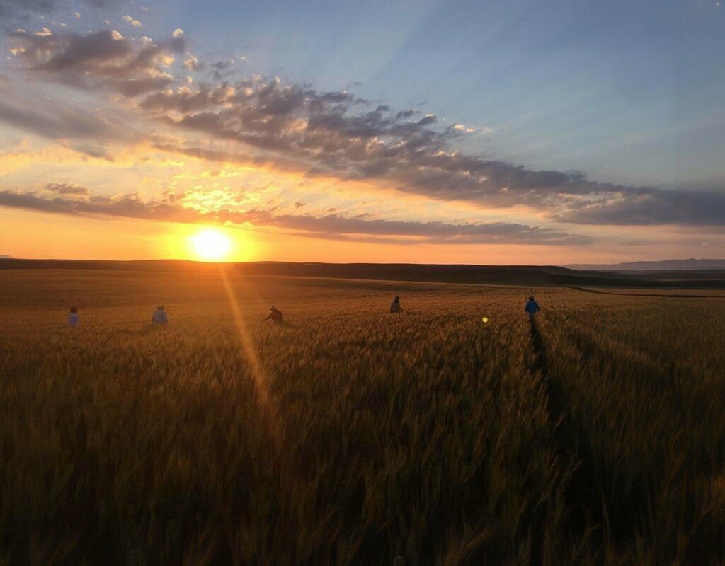 Fodder and feed additives Elite Fertilizer Seedling, Konya, photo