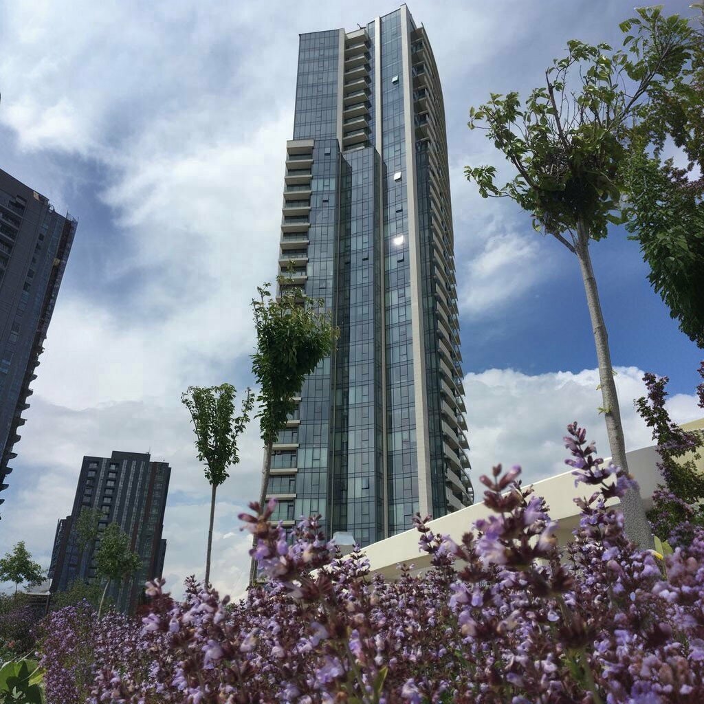 Construction and finishing works Angora A, Ankara, photo