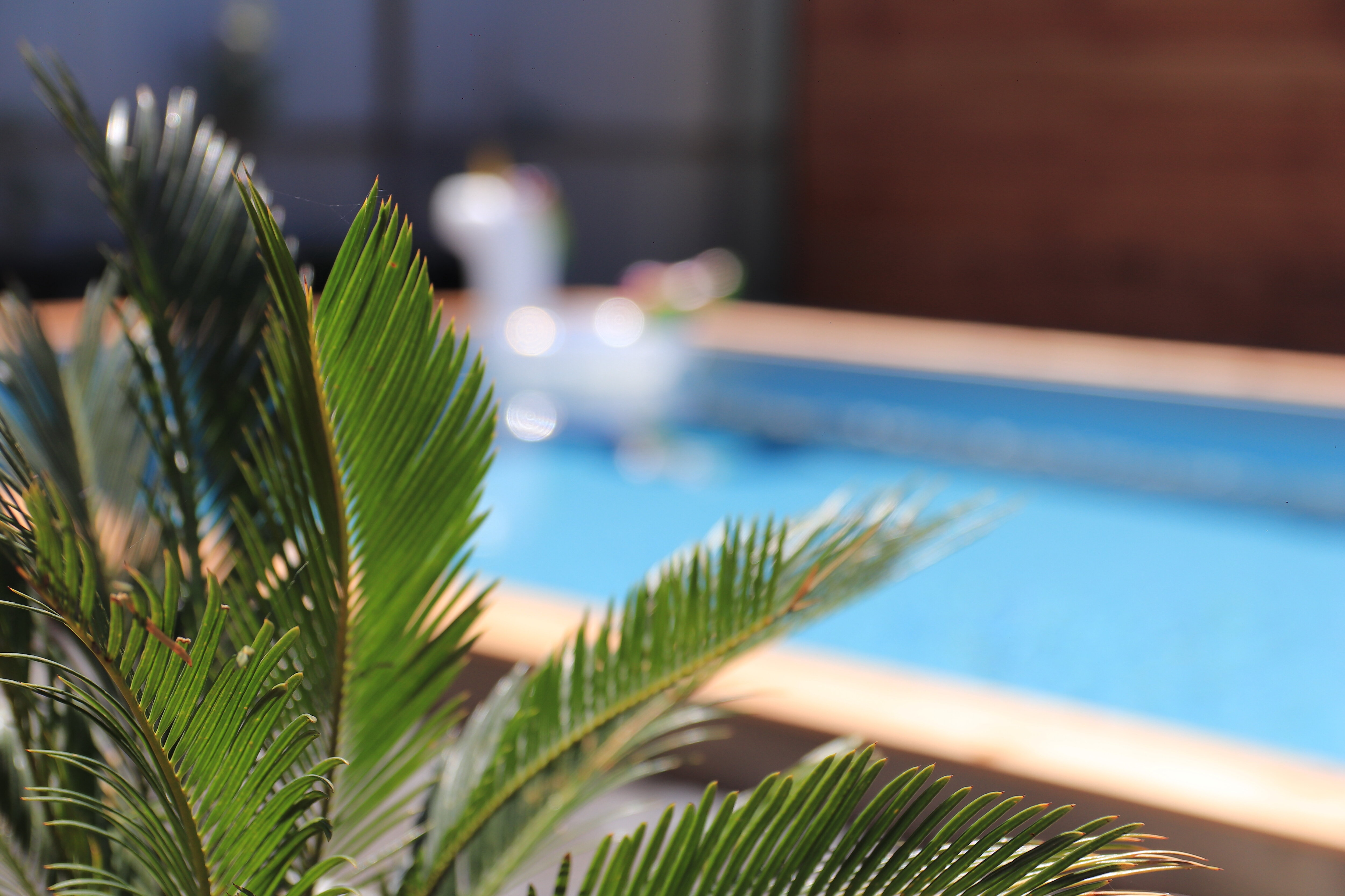 Фото Eco Paradis