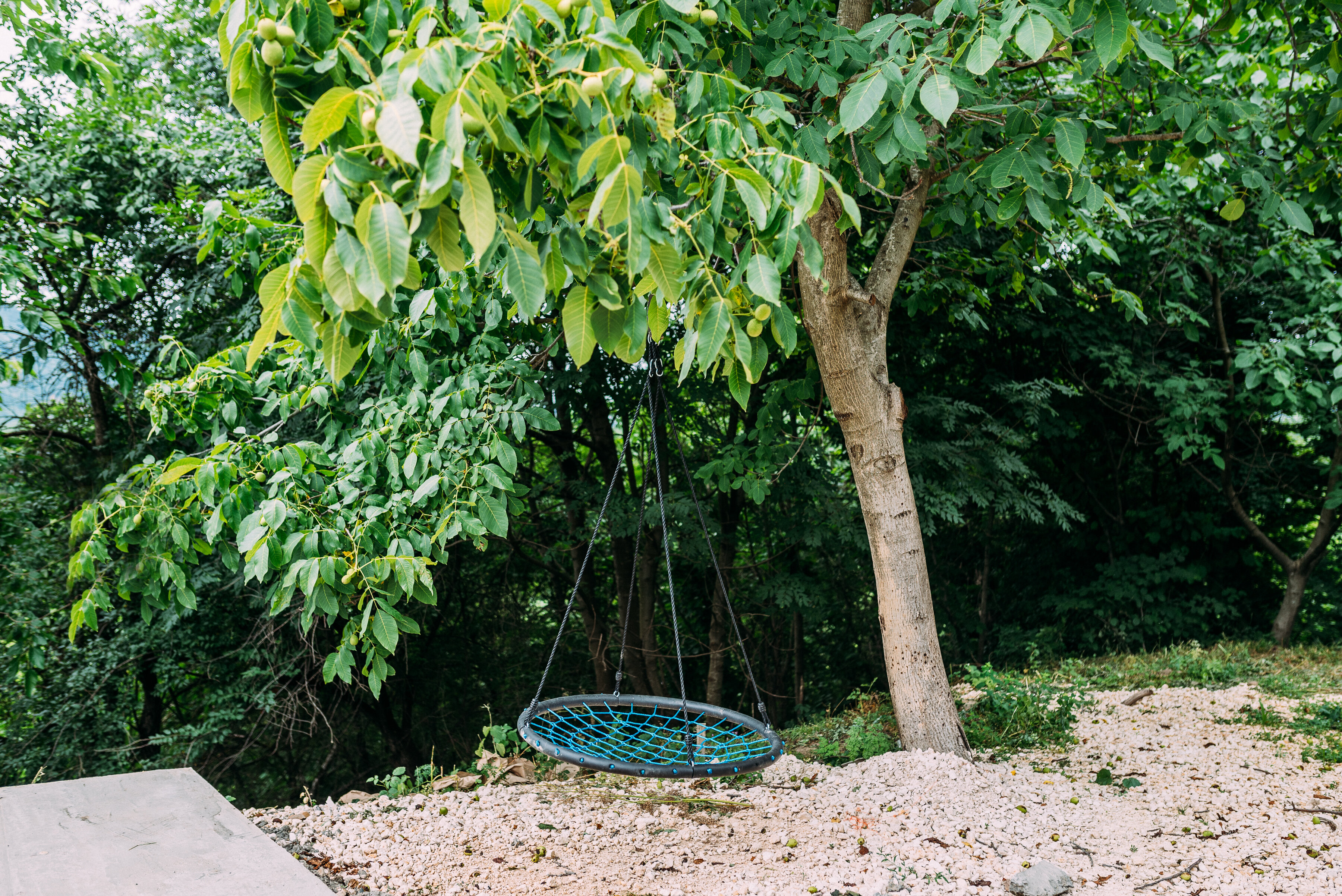 Фото Камменка