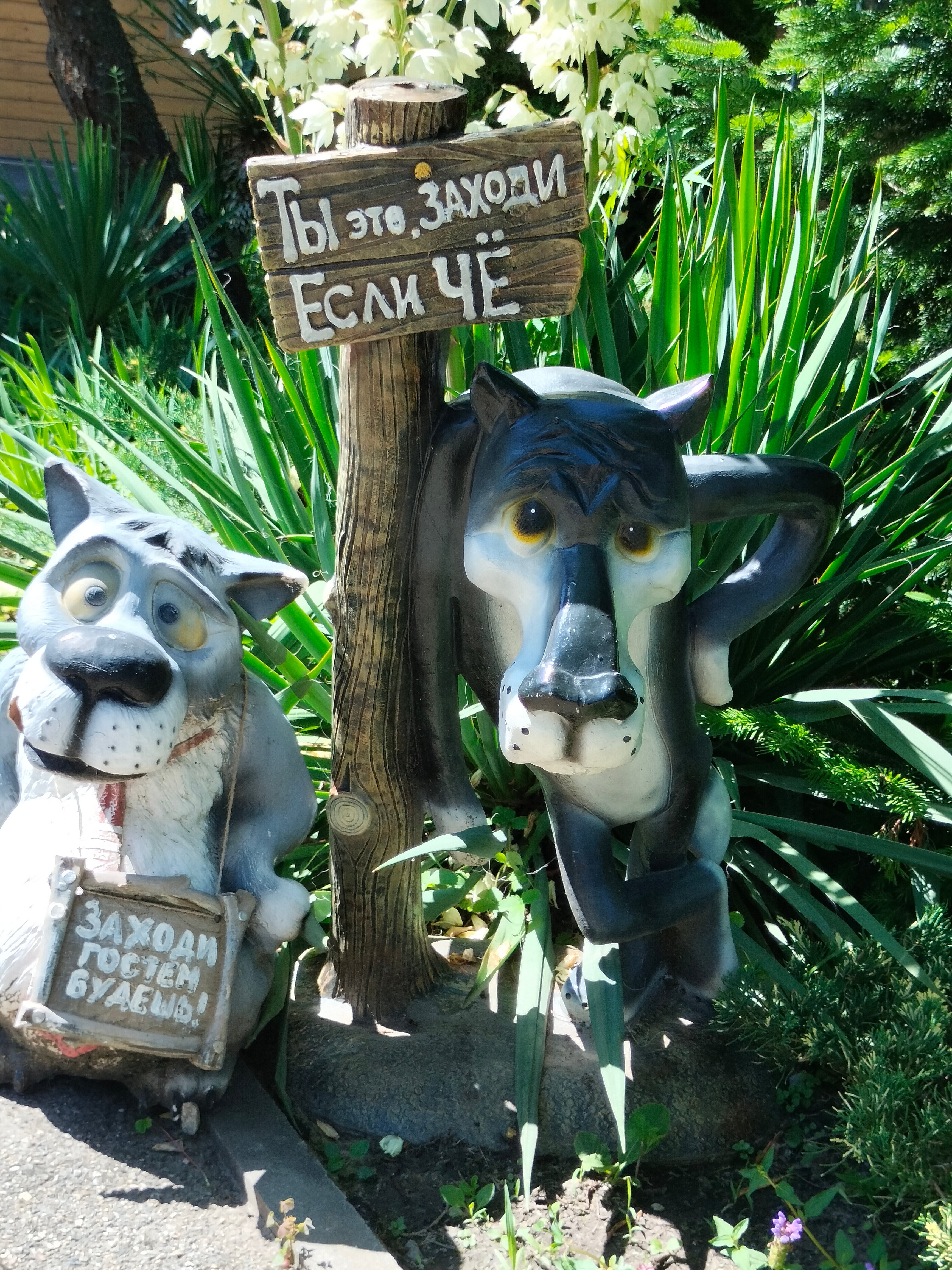 Фото Кордес