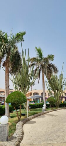 Гостиница Ali Baba Beach Resort в Хургаде