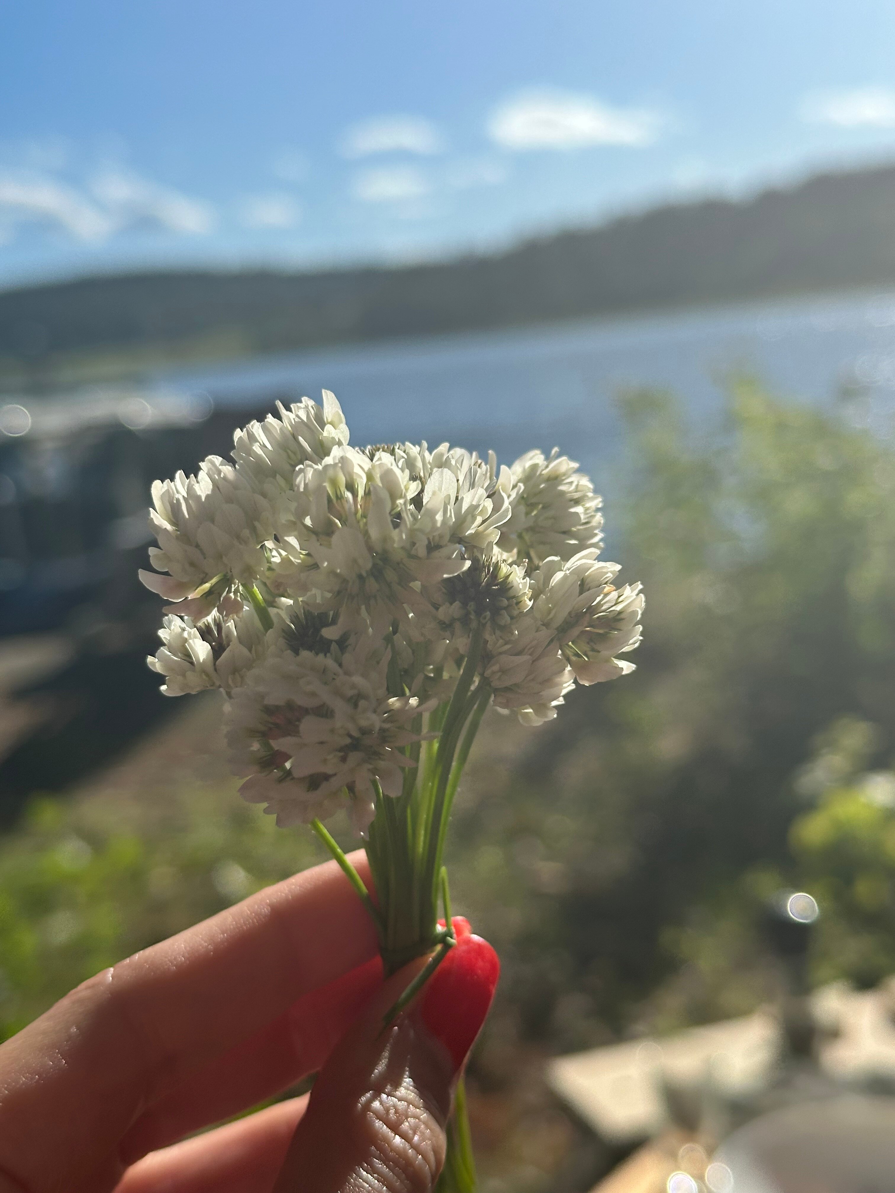 Фото Абракадабра