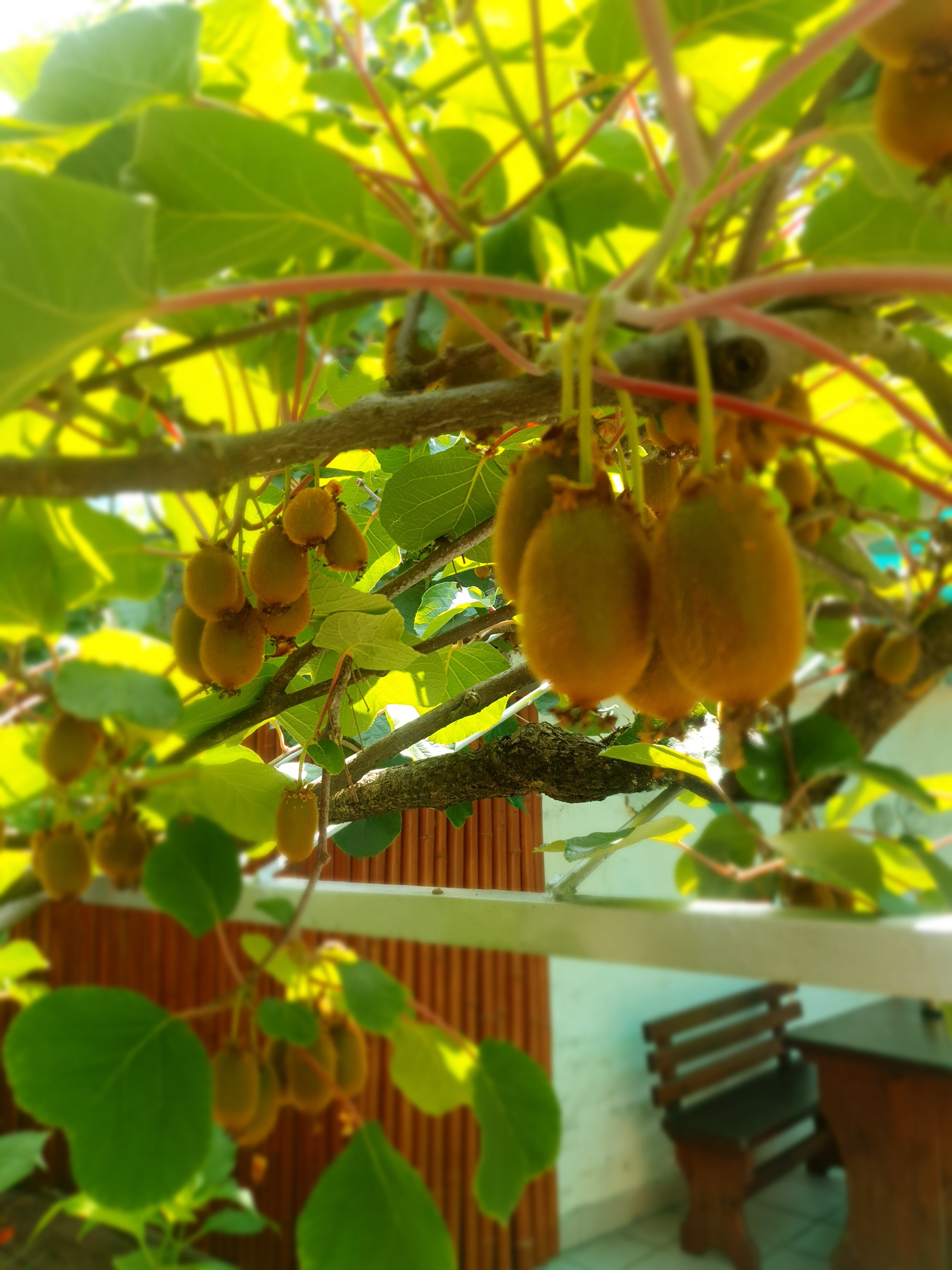 Фото Мини-гостиница Marco Club