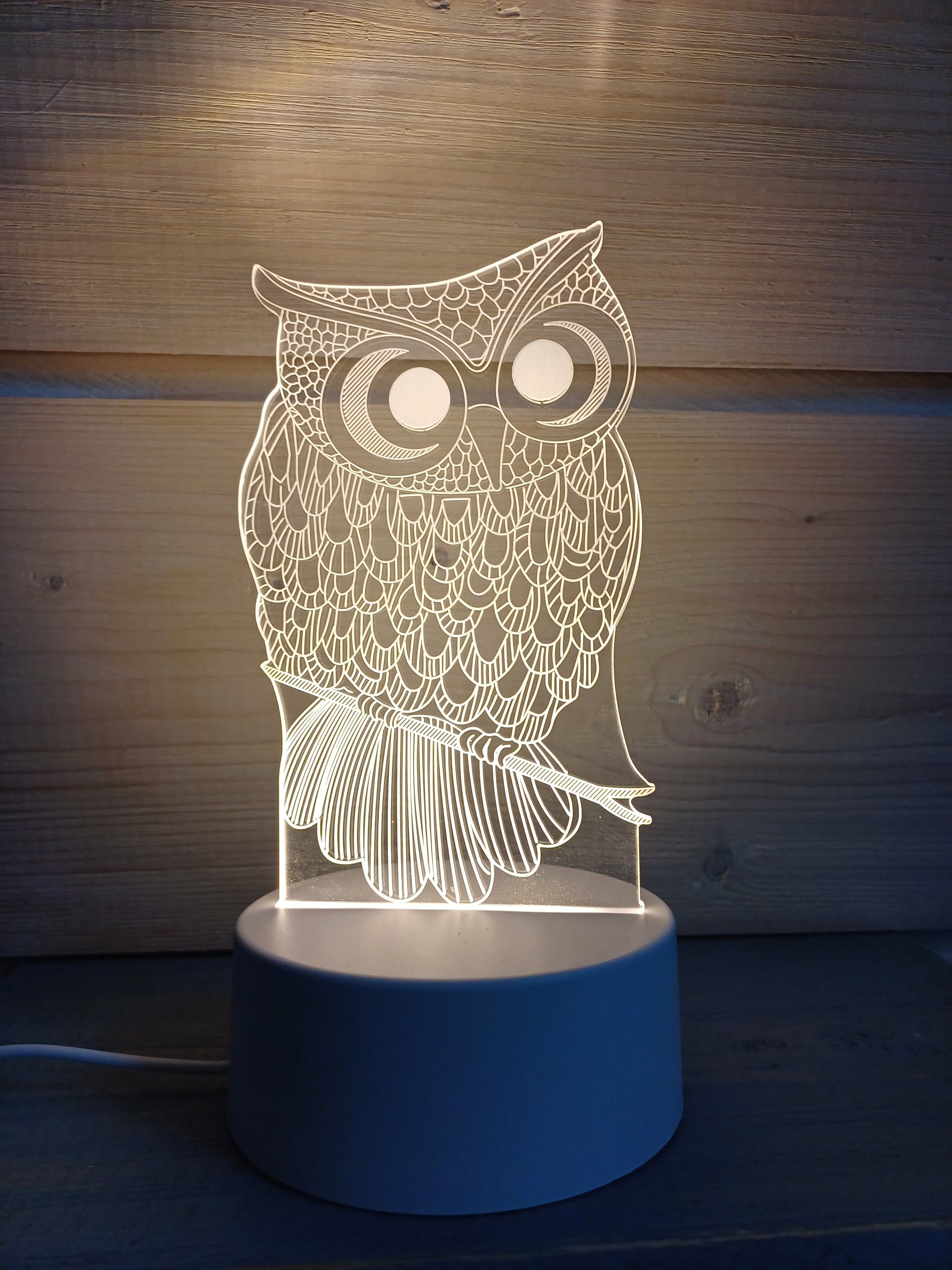 Фото Шале Белая Сова