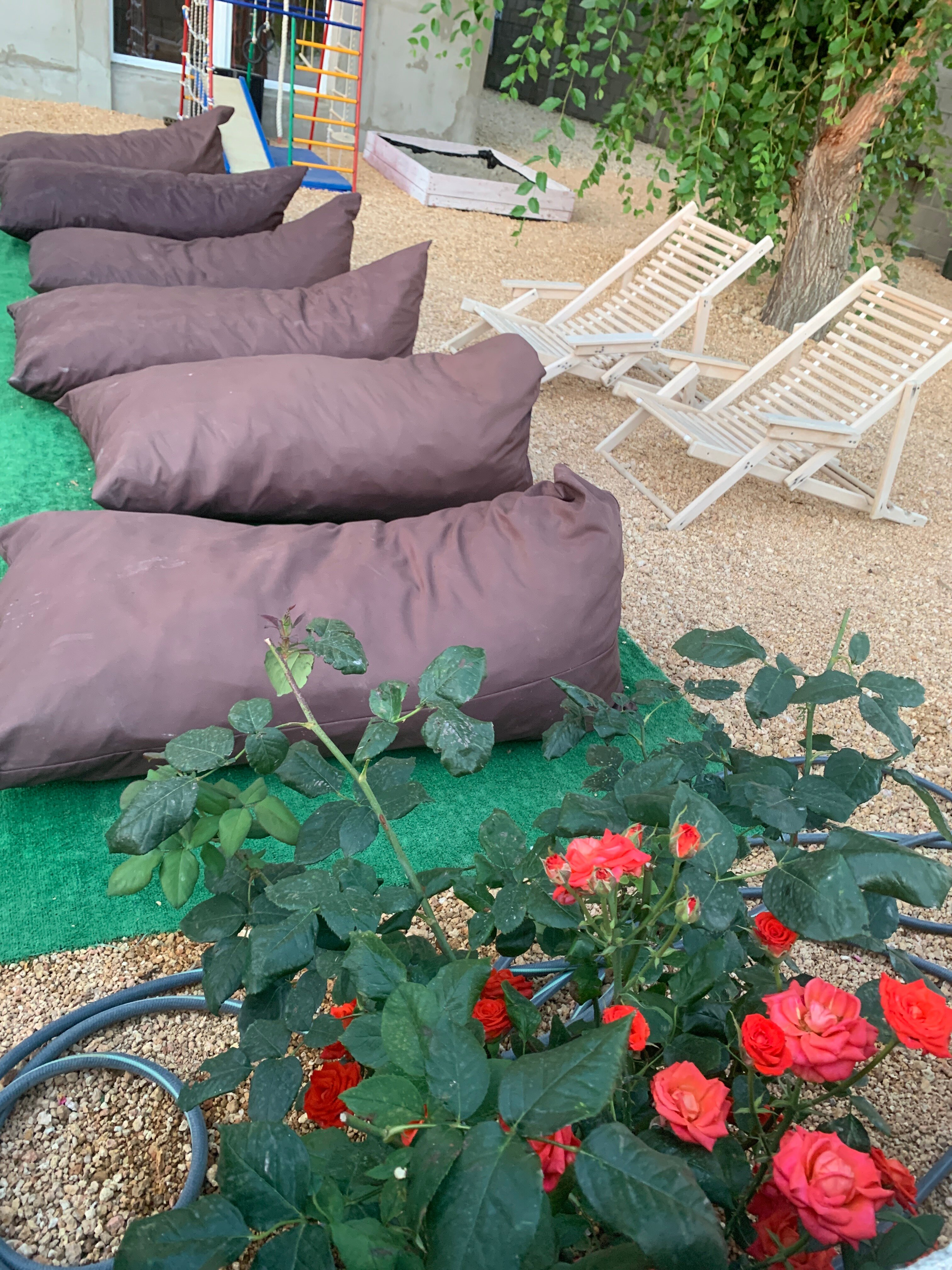 Фото ДиоМил