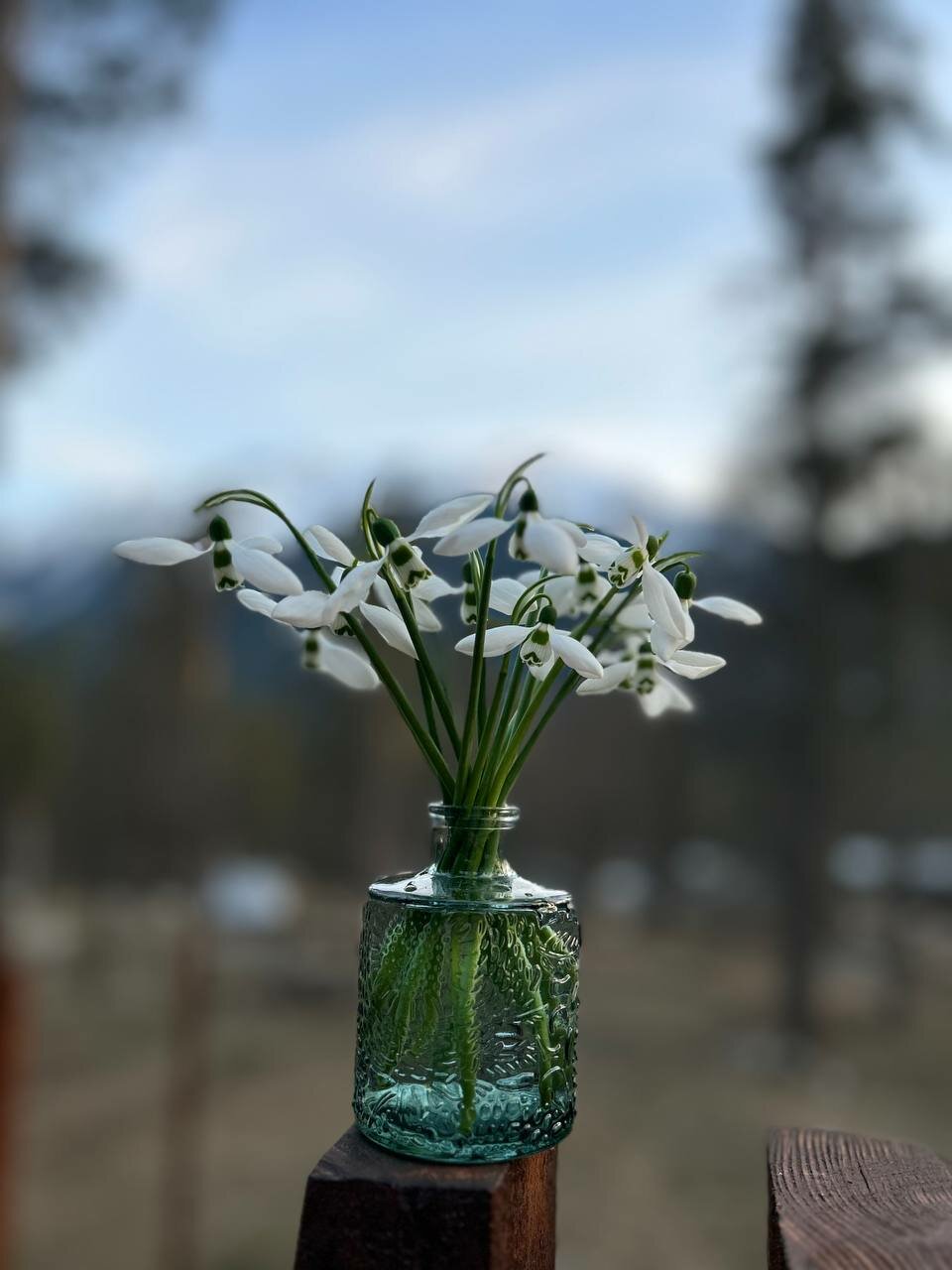 Фото А-фрэйм с душой