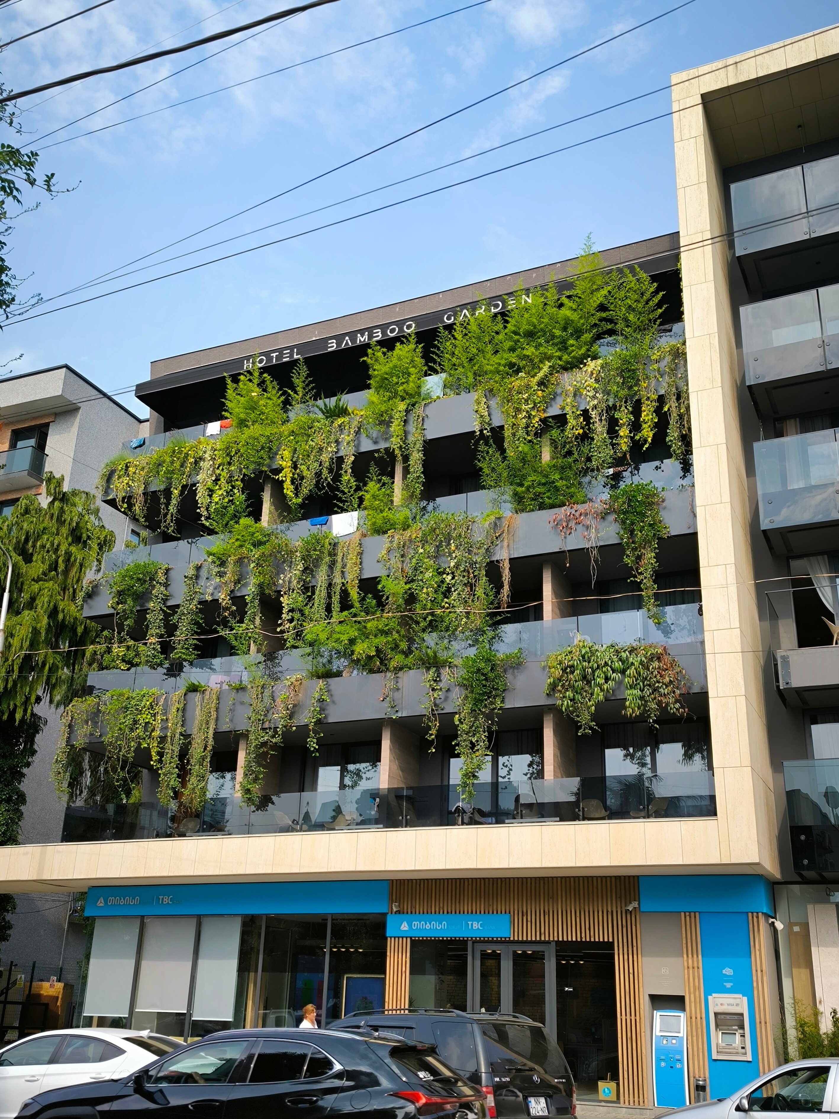 Фото Bamboo Garden