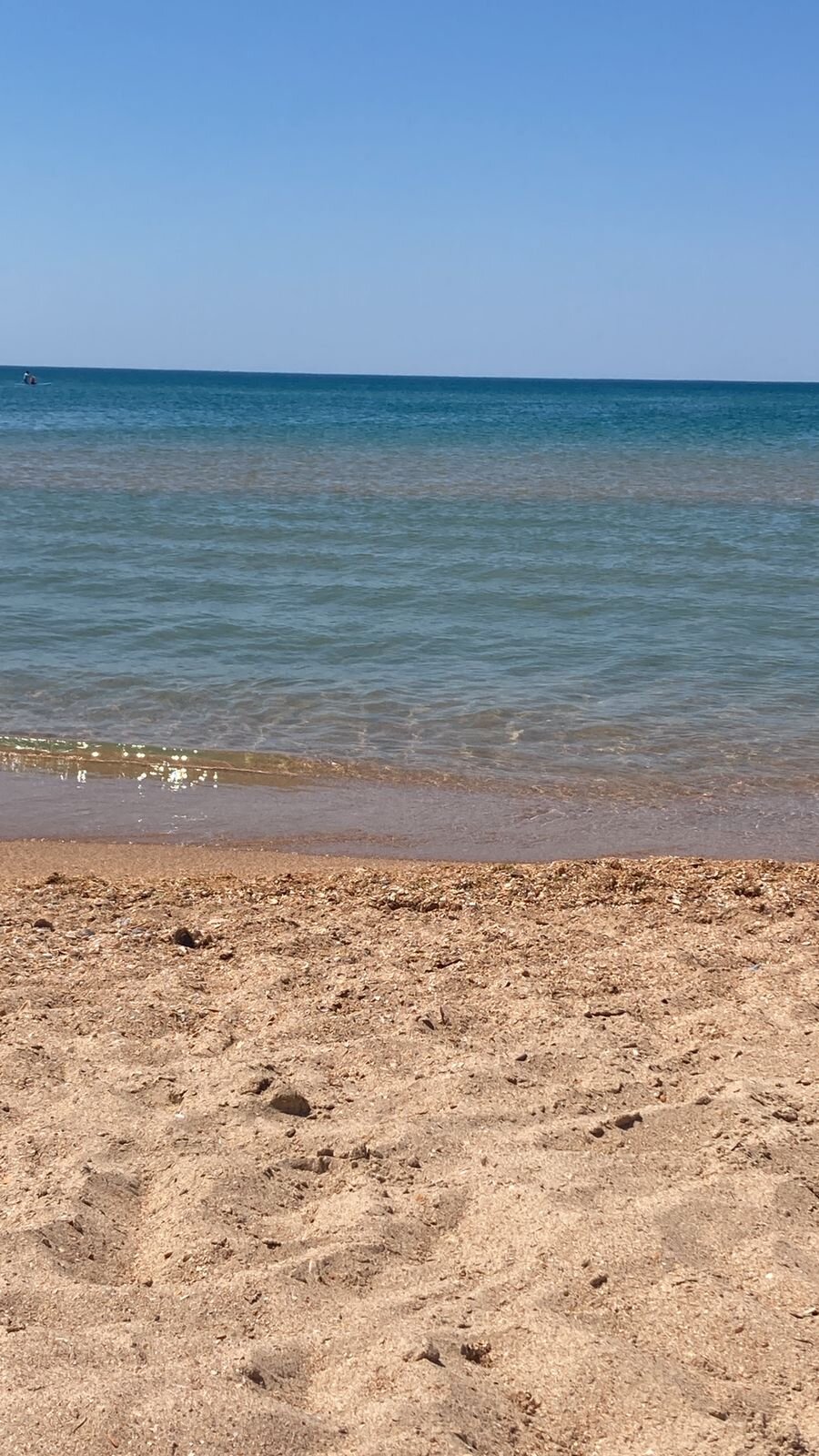 Фото Твоя Дача