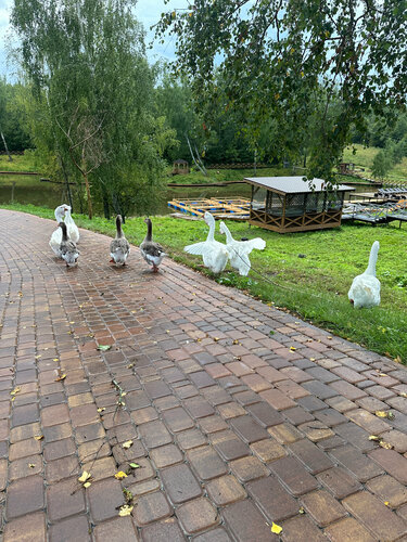Гостиница Курорт Заокские Поля в Тульской области