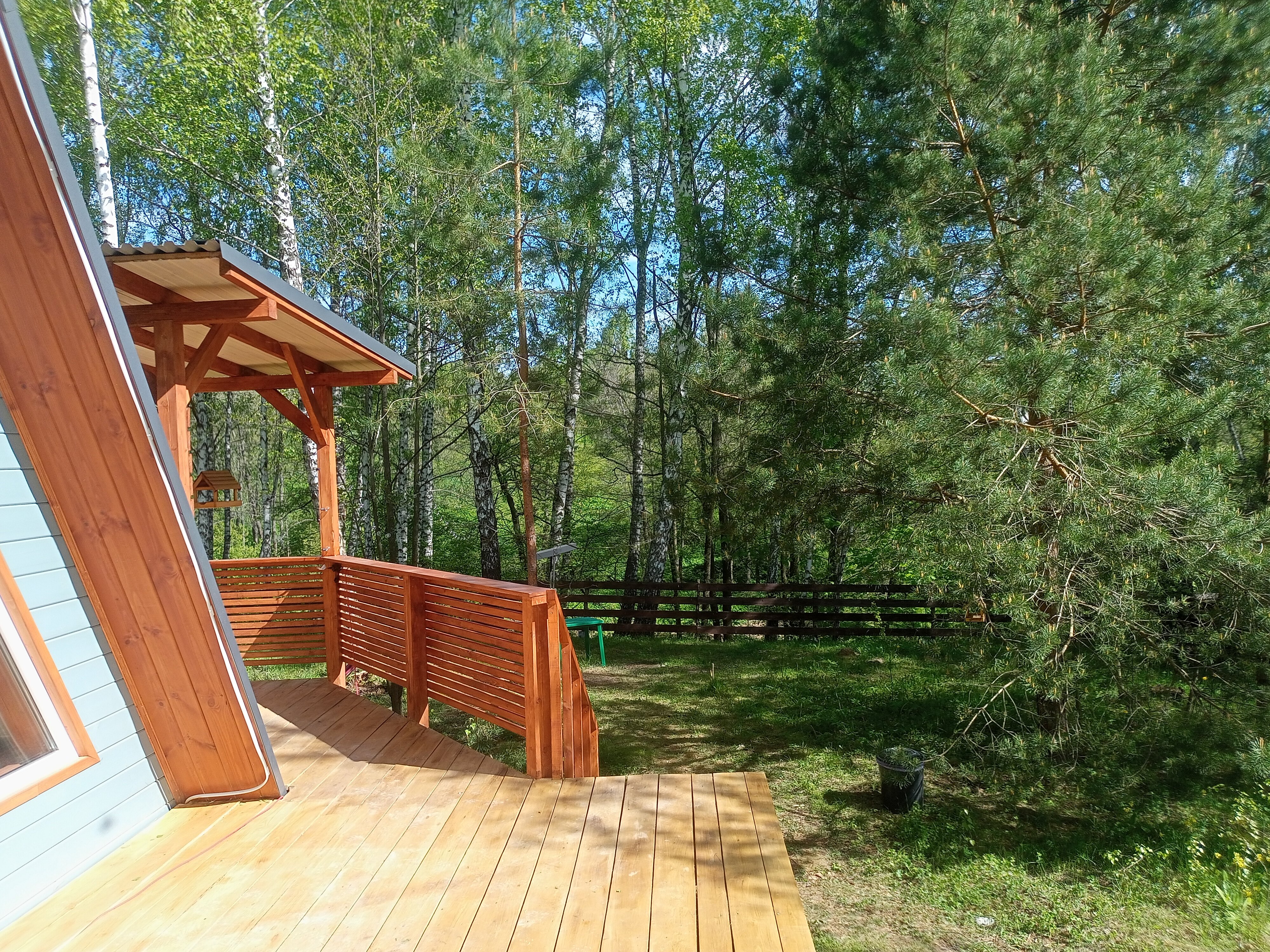 Фото Хвойный парк