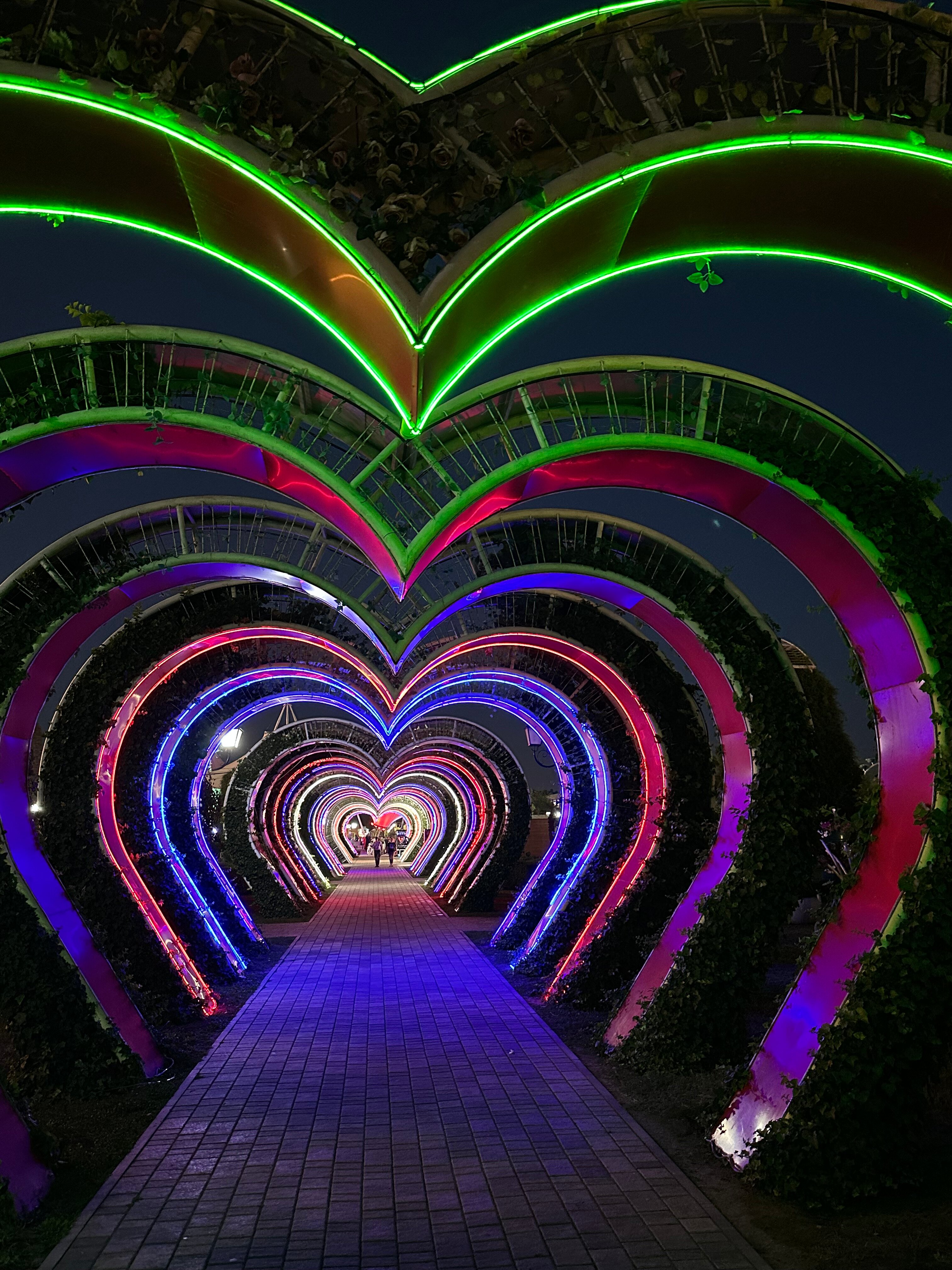 Фото Шали-Сити