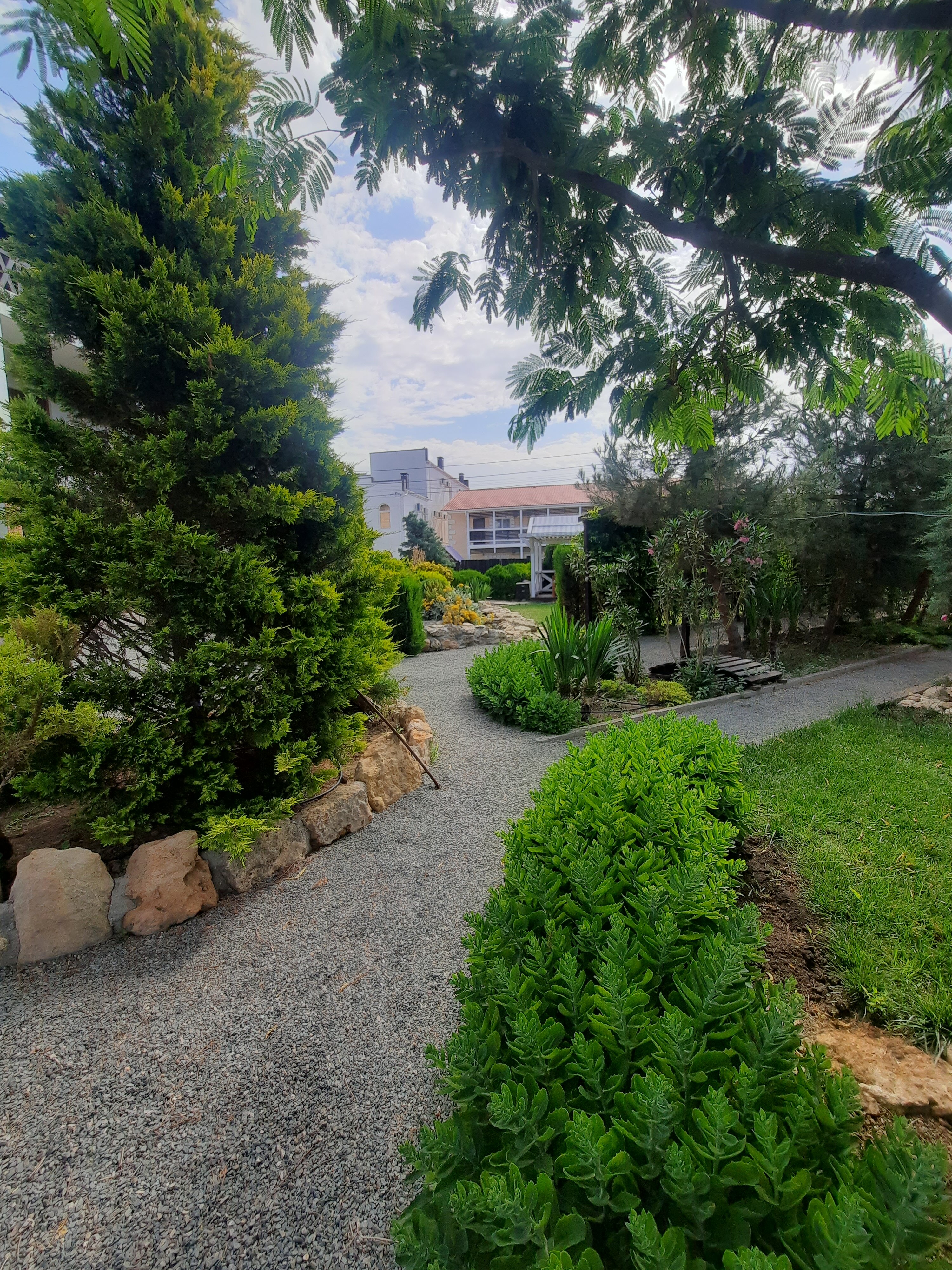 Фото Беляус